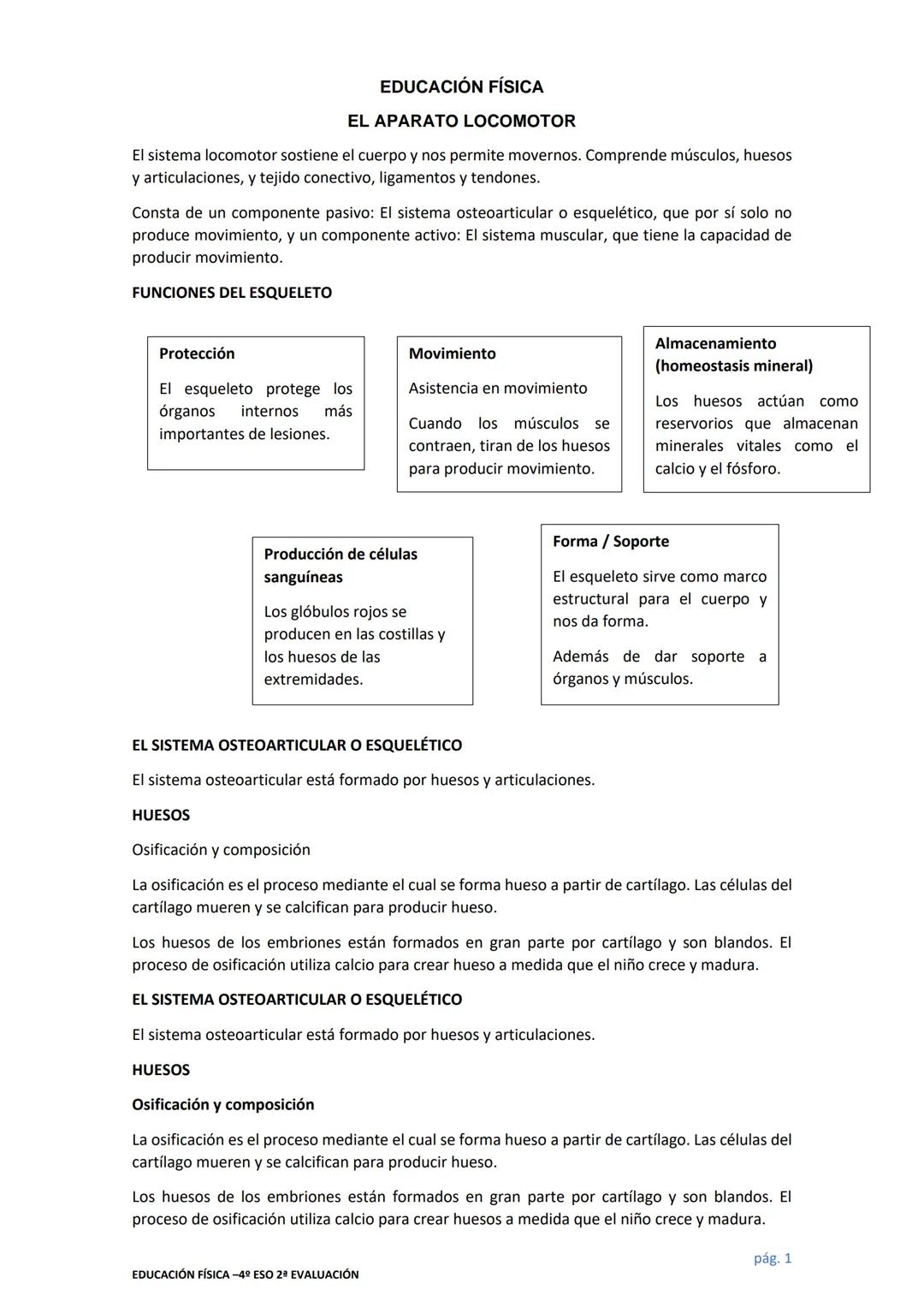 # EDUCACIÓN FÍSICA
# EL APARATO LOCOMOTOR
El sistema locomotor sostiene el cuerpo y nos permite movernos. Comprende músculos, huesos
y art