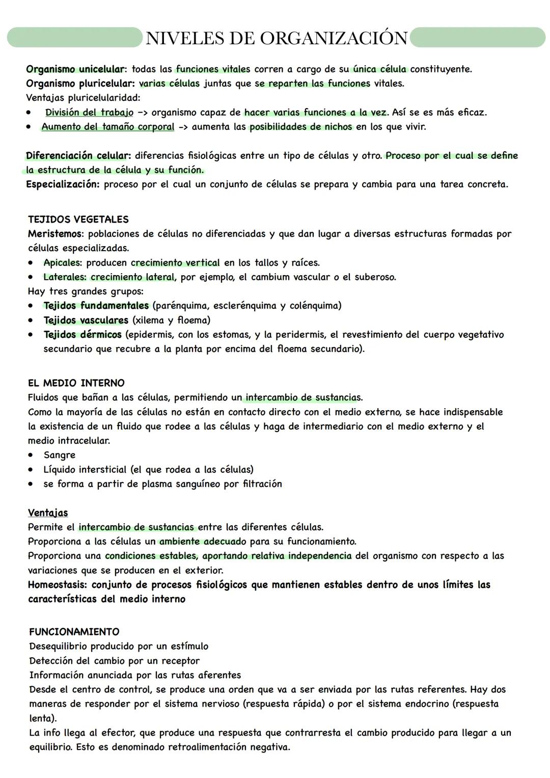 BIOLOGÍA # NIVELES DE ORGANIZACIÓN
Organismo unicelular: todas las funciones vitales corren a cargo de su única célula constituyente.
Organ