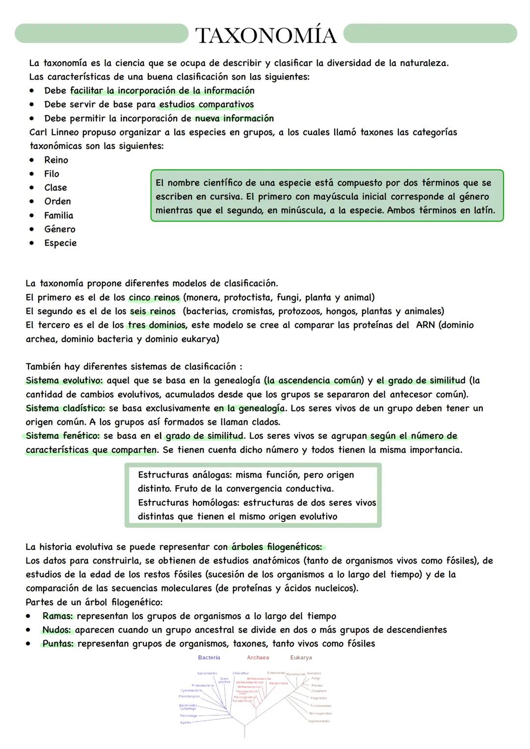 BIOLOGÍA # NIVELES DE ORGANIZACIÓN
Organismo unicelular: todas las funciones vitales corren a cargo de su única célula constituyente.
Organ