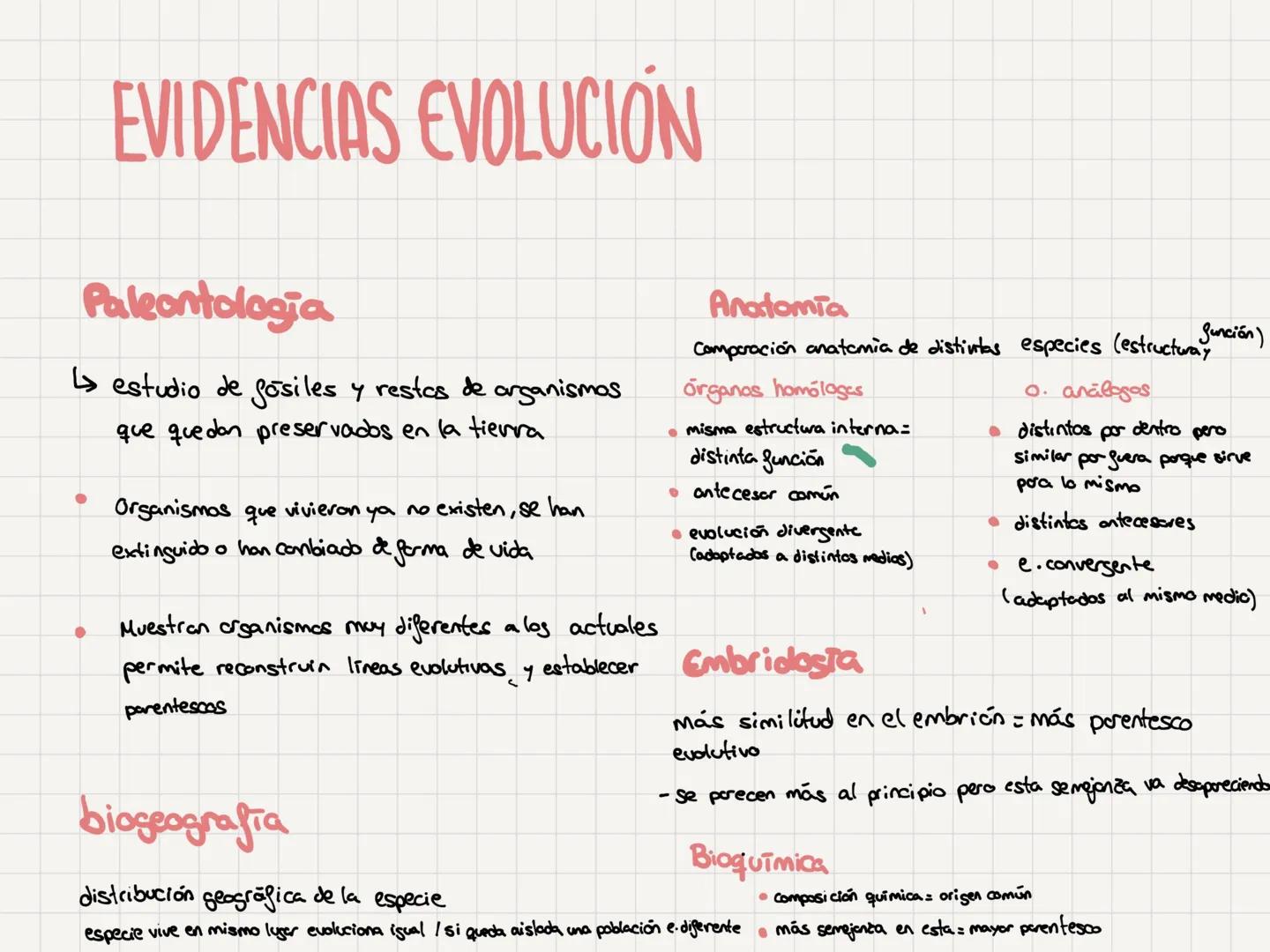# TEORÍAS
EVOLUTIVAS # EVOLUCIÓN COMO MOTOR CAMBIO
Evolucionismo: todos los seres vivos actuales proceden de otras especies distintas
que