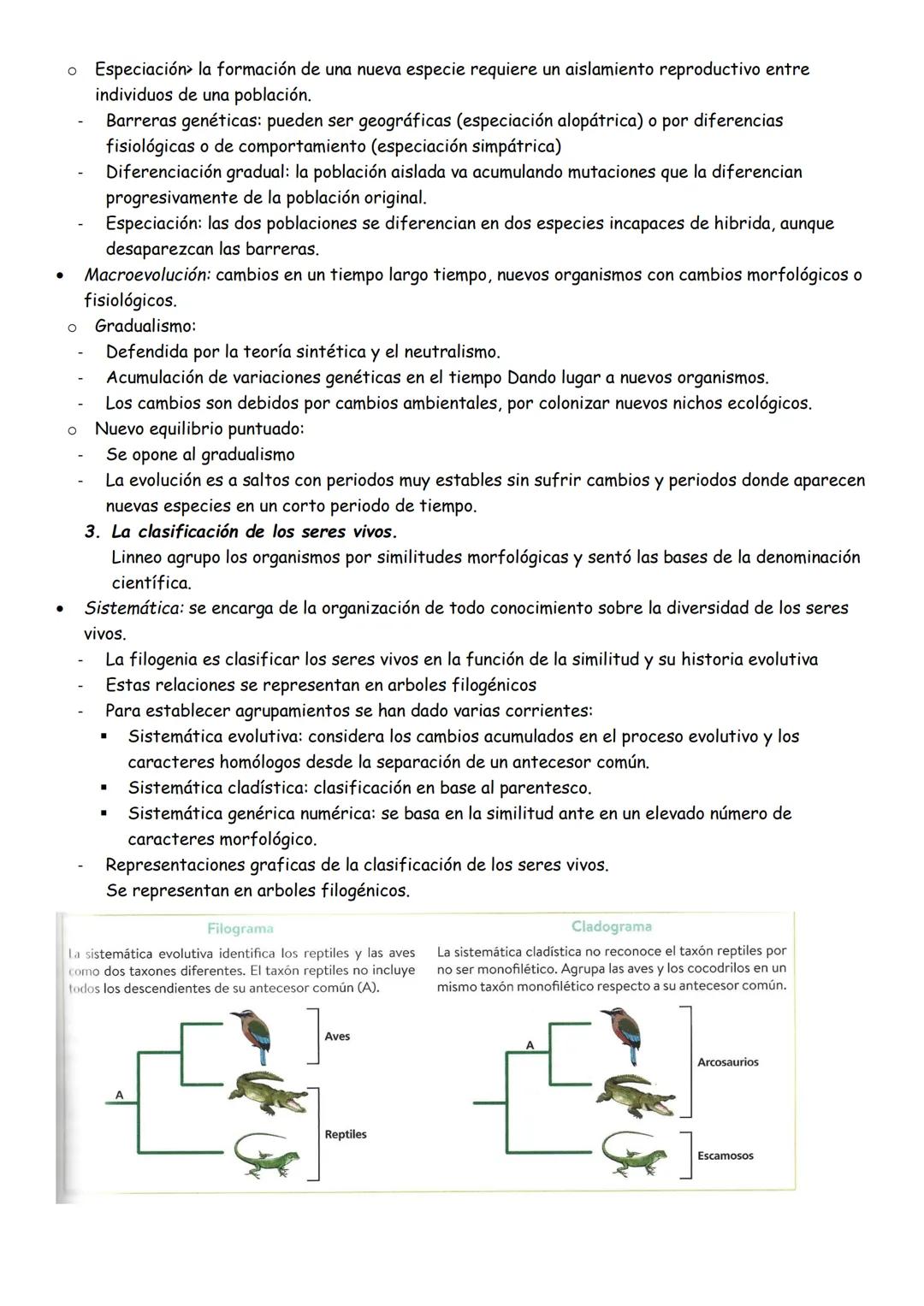 EVOLUCION Y CLASIFICACION DE LOS SERES VIVOS
1. Los grandes cambios en los seres vivos
•
La vida surgió hace unos 3700 millones de años
•
•