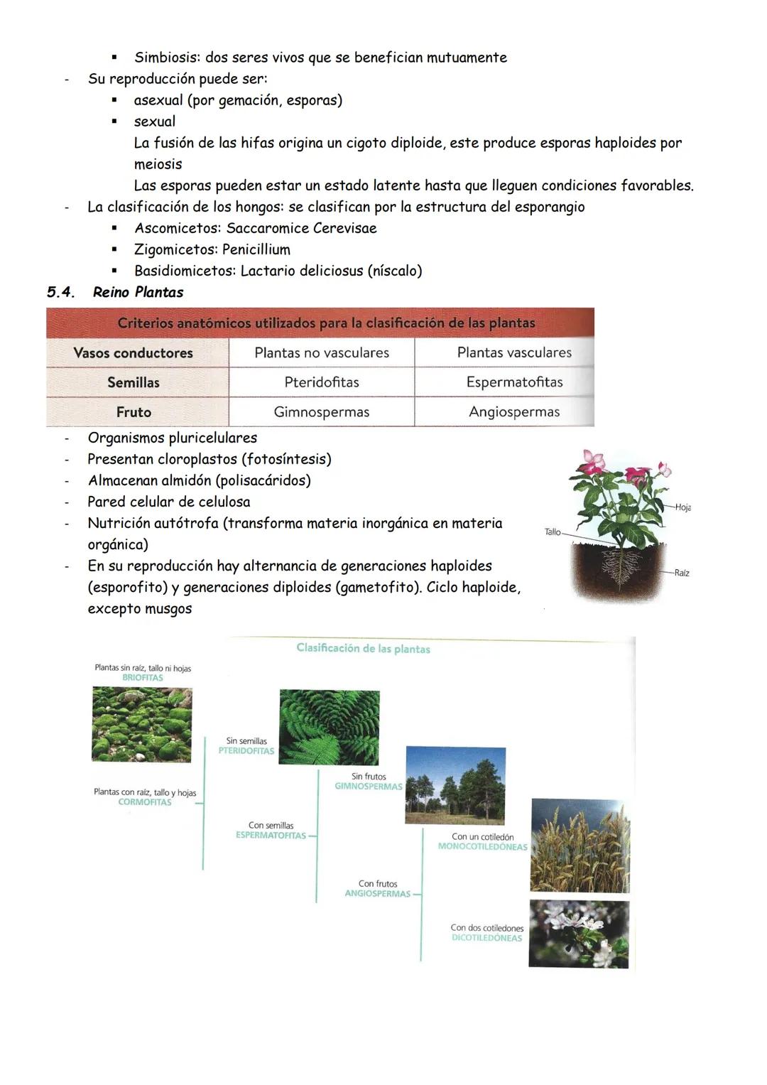 EVOLUCION Y CLASIFICACION DE LOS SERES VIVOS
1. Los grandes cambios en los seres vivos
•
La vida surgió hace unos 3700 millones de años
•
•