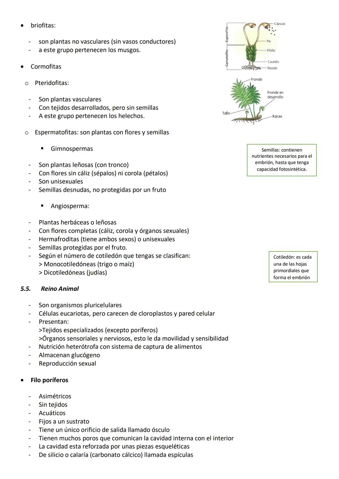 EVOLUCION Y CLASIFICACION DE LOS SERES VIVOS
1. Los grandes cambios en los seres vivos
•
La vida surgió hace unos 3700 millones de años
•
•