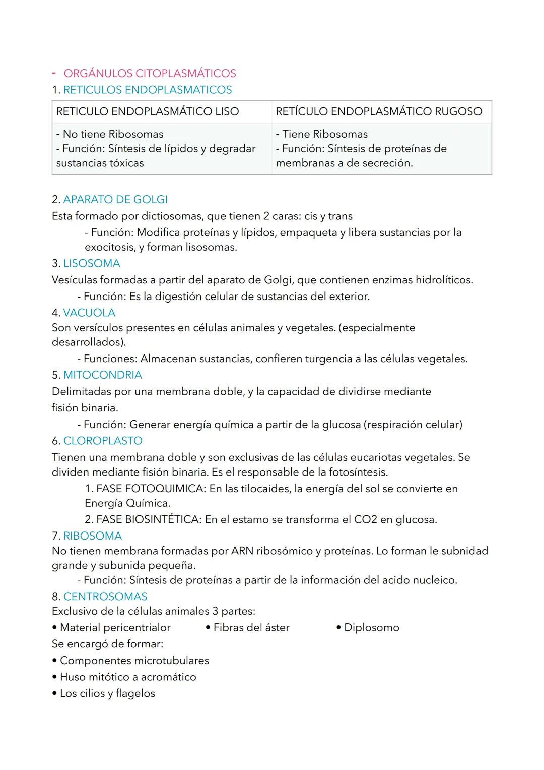 # TEMA 1 BIOLOGIA
## 1. NIVELES DE ORGANIZACIÓN DE LA MATERIA VIVA
LA MATERIA
Se organiza en una serie de niveles sucesivos cuyo grado de