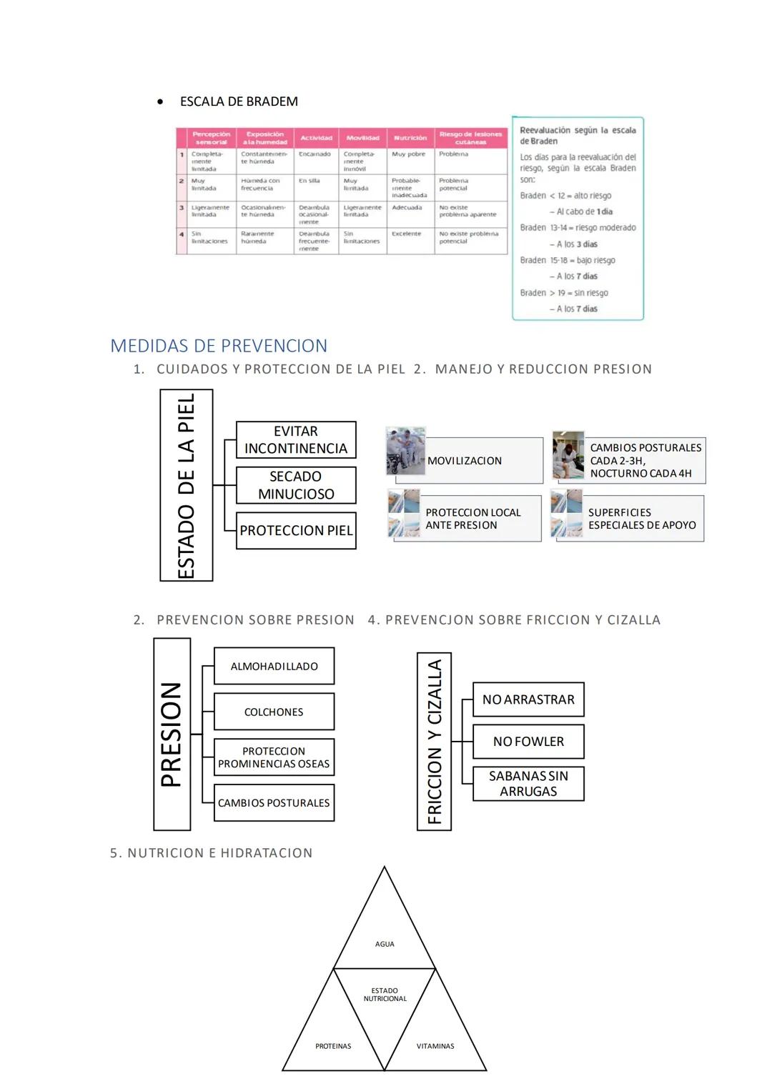 1. RESPUESTAS FISIOLOGICAS A LA INMOVILIDADÇ
1.1 MUSCULO-ESQUELETICAS
- Atrofia muscular por desuso
- Contracturas
- Dolor
- Pérdida de ma
