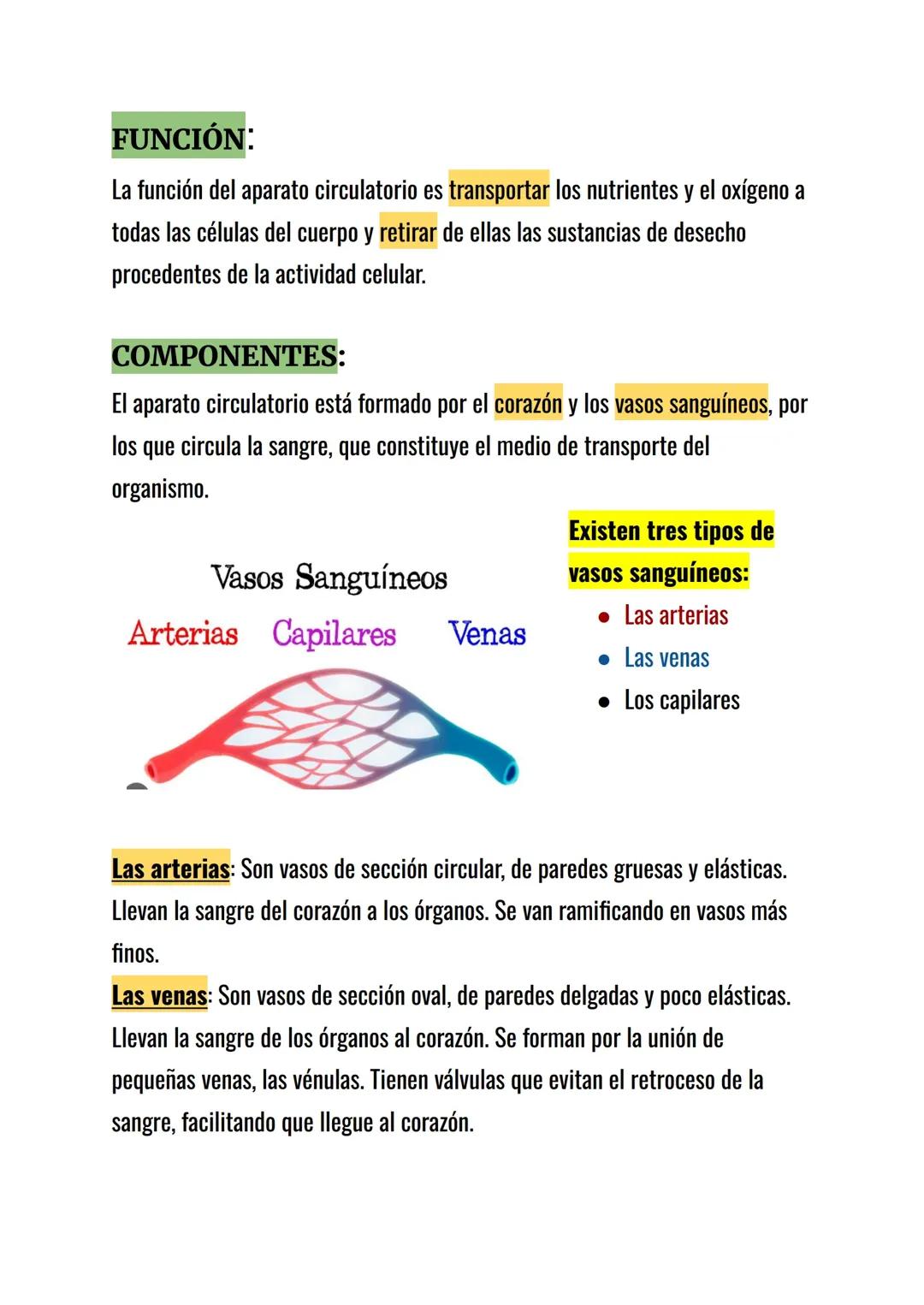 El aparato Circulatorio 3°ESO