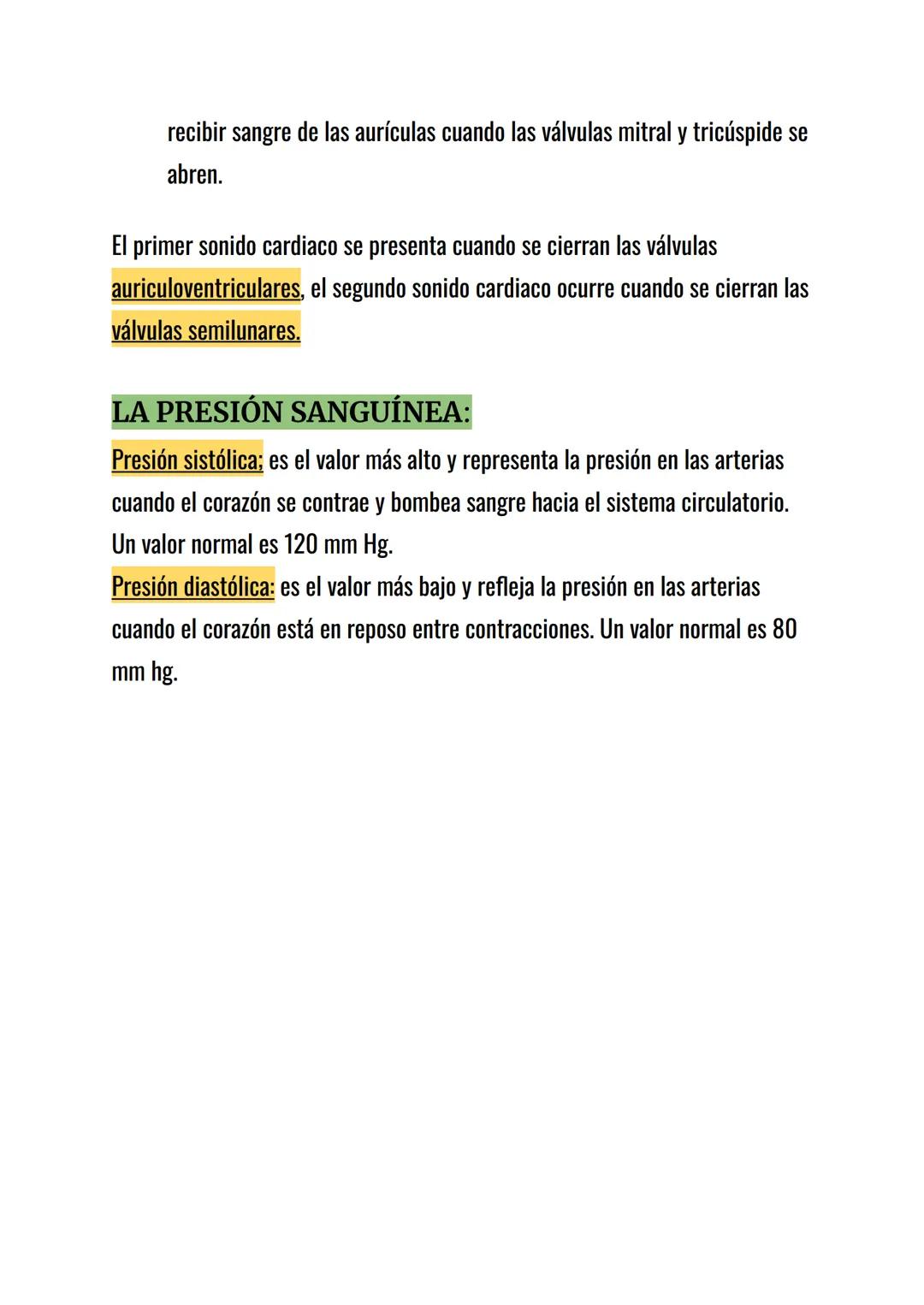 FUNCIÓN:
La función del aparato circulatorio es transportar los nutrientes y el oxígeno a
todas las células del cuerpo y retirar de ellas la