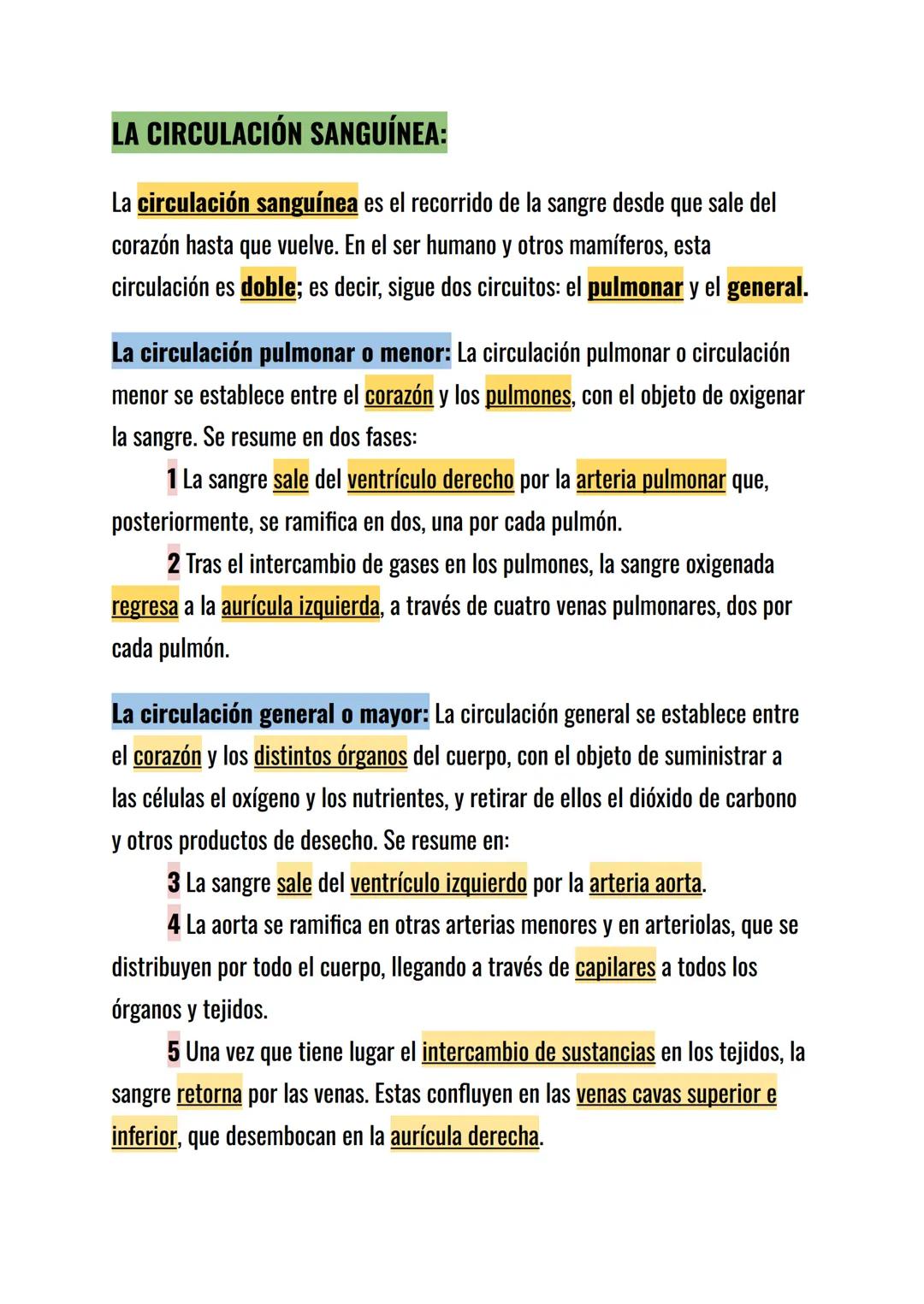 FUNCIÓN:
La función del aparato circulatorio es transportar los nutrientes y el oxígeno a
todas las células del cuerpo y retirar de ellas la
