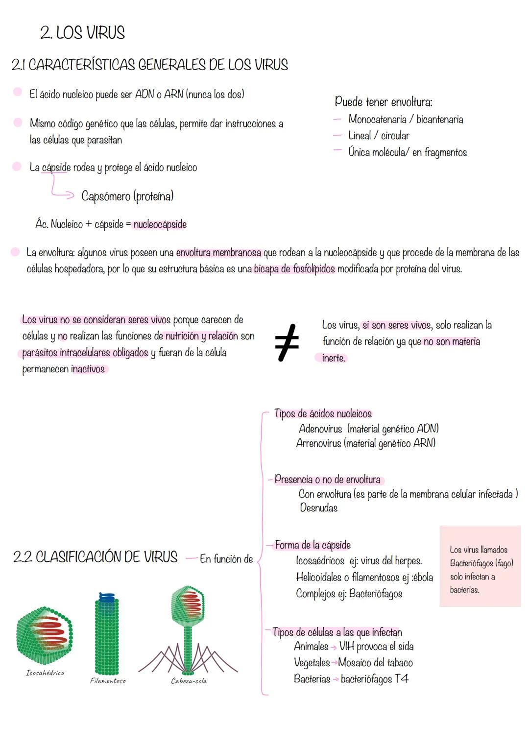 Microbiología 1. LA MICROBIOLOGÍA
Se ocupa del estudio de los microorganismos y formas acelulares como virus, viroides y priones.
Los microo