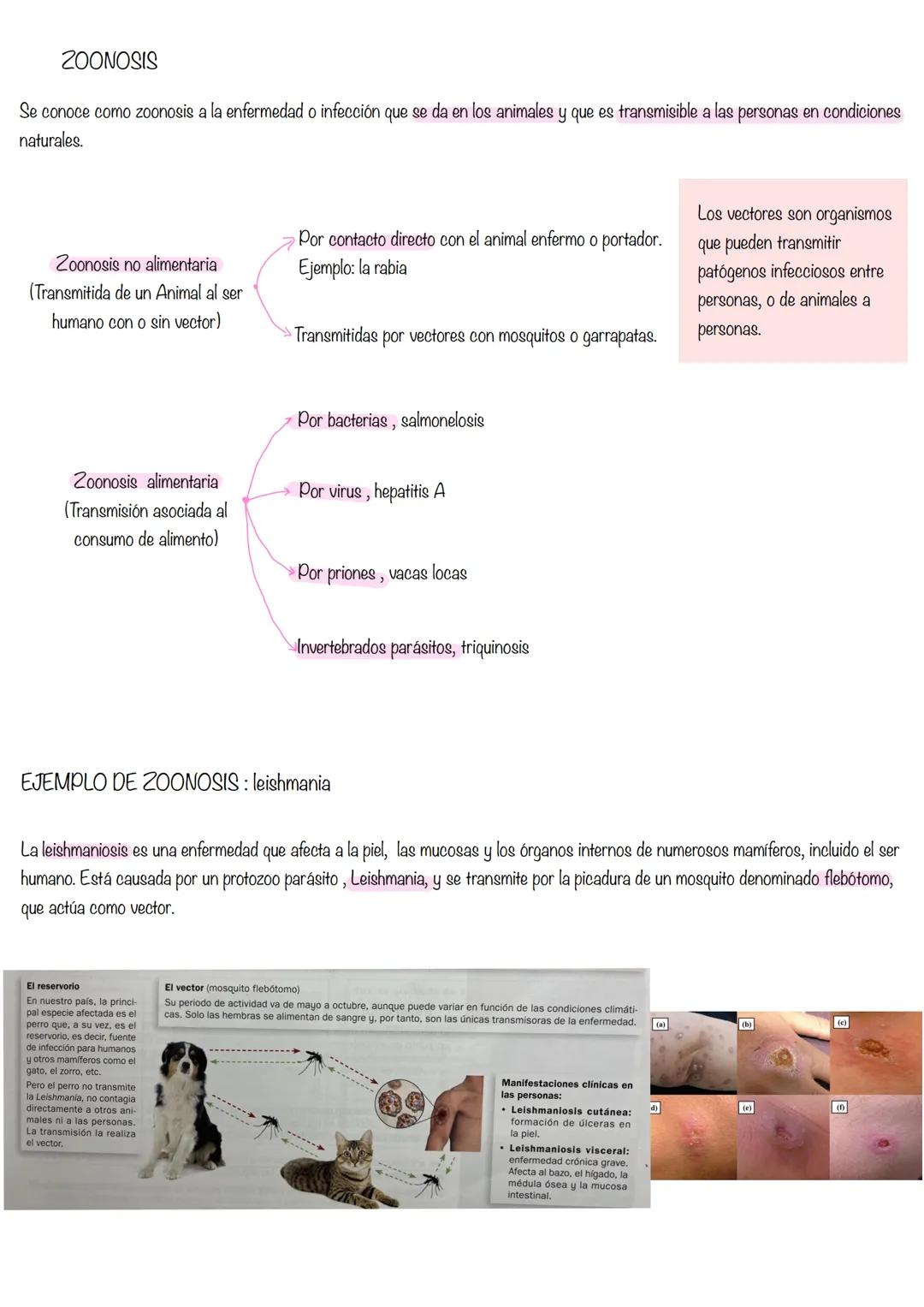 Microbiología 1. LA MICROBIOLOGÍA
Se ocupa del estudio de los microorganismos y formas acelulares como virus, viroides y priones.
Los microo
