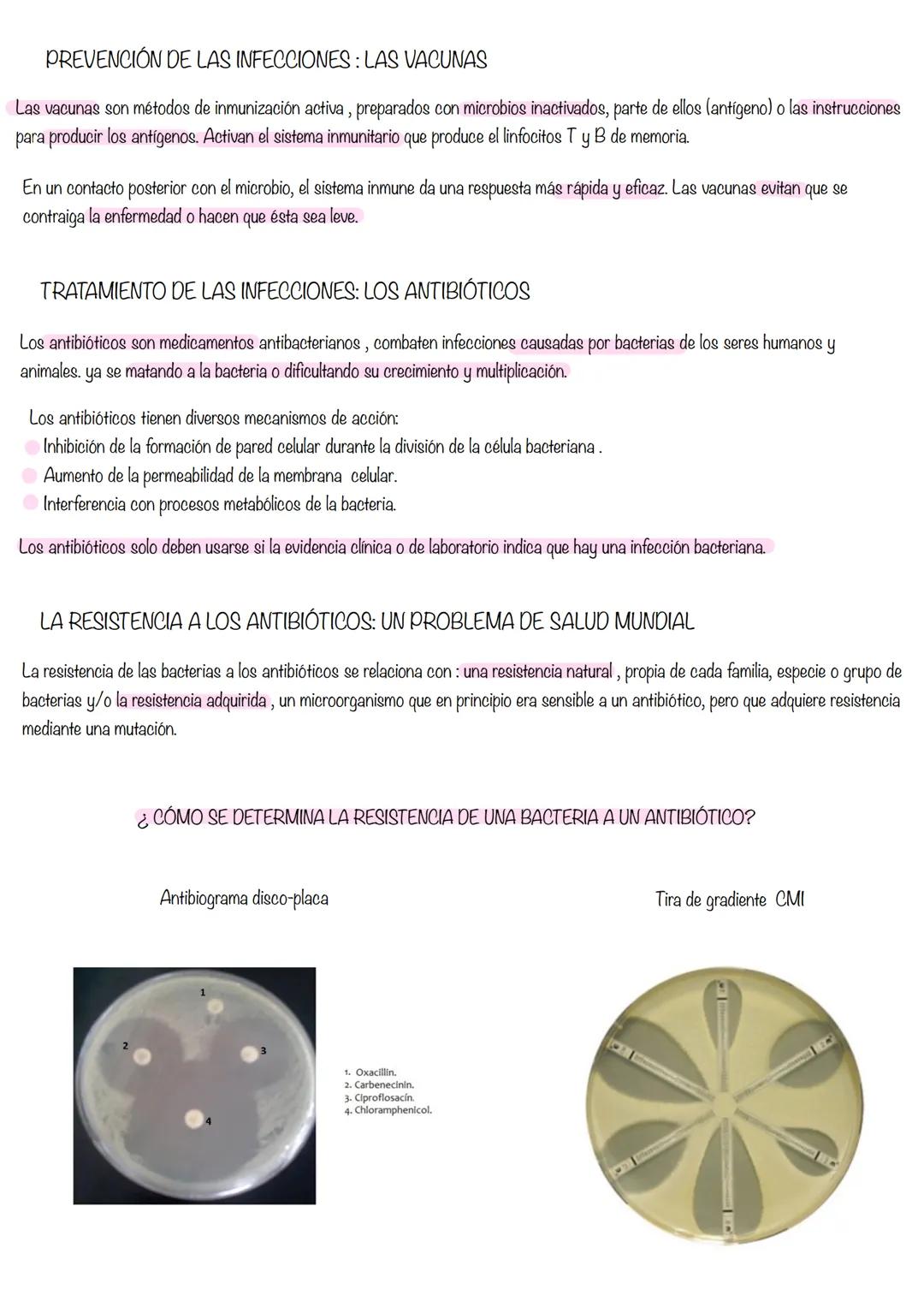Microbiología 1. LA MICROBIOLOGÍA
Se ocupa del estudio de los microorganismos y formas acelulares como virus, viroides y priones.
Los microo