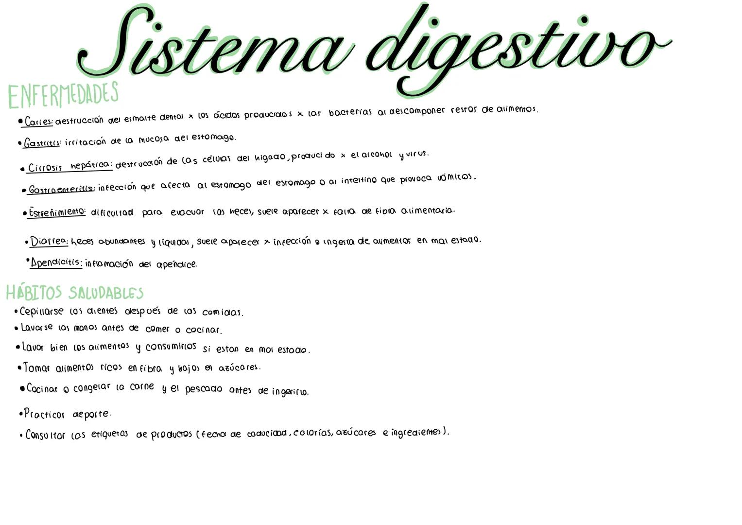 FUNCIÓN DE NUTRICION
Sistema digestivo
La nutrición es el conjunto de procesos x los que el organismo obtiene El principal proceso que reali