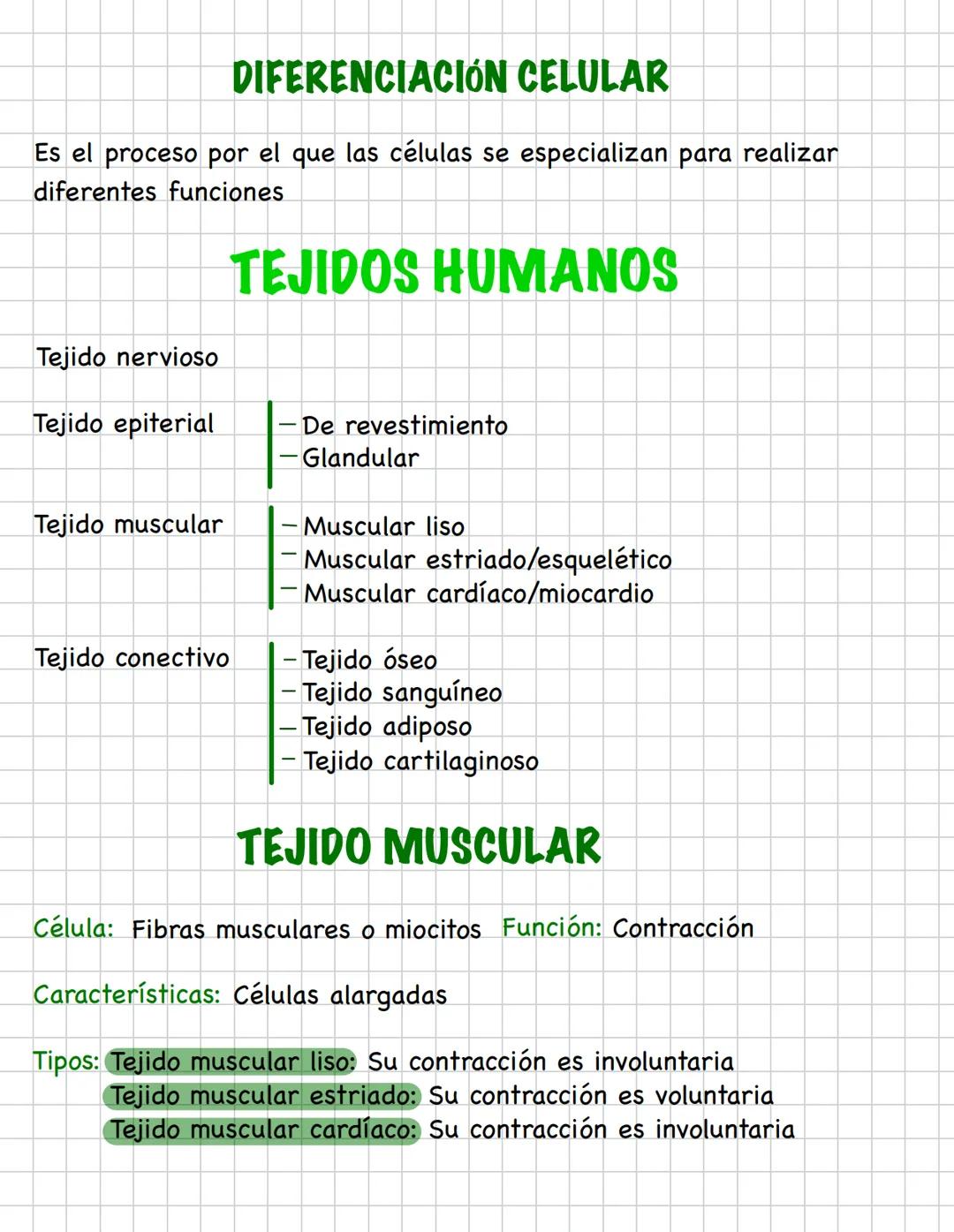 DIFERENCIACIÓN CELULAR
Es el proceso por el que las células se especializan para realizar
diferentes funciones
Tejido nervioso
TEJIDOS HUMAN