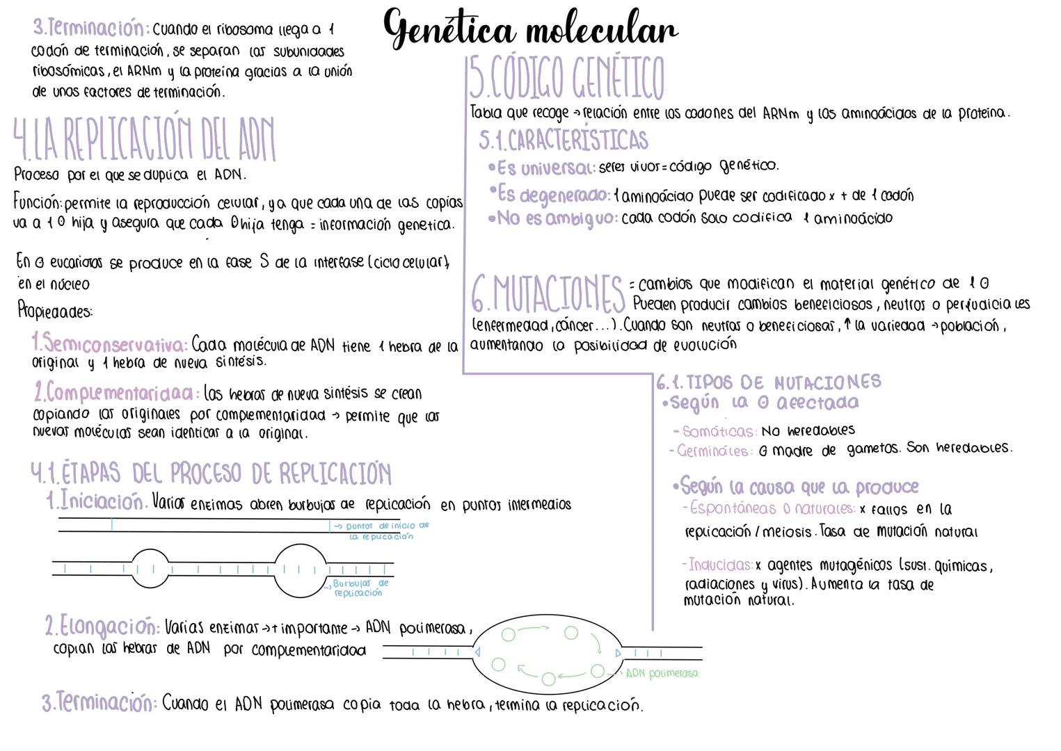 1.DOGMA CENTRAL
Replicación la expresión genética
transcripción
ADN
ARNM
Traducción
Proteínas
consiste en la manifestación
de un caracter o