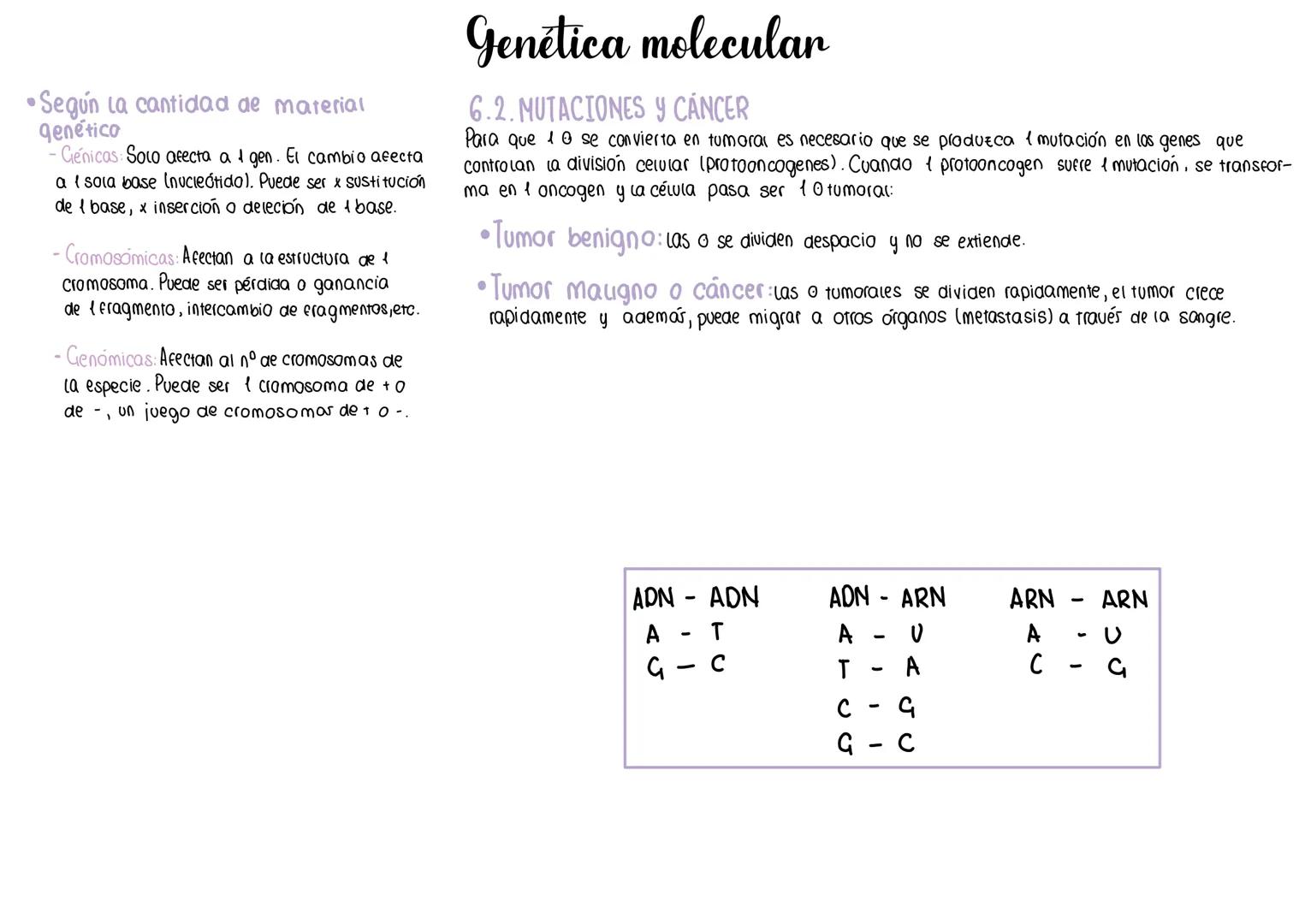 1.DOGMA CENTRAL
Replicación la expresión genética
transcripción
ADN
ARNM
Traducción
Proteínas
consiste en la manifestación
de un caracter o
