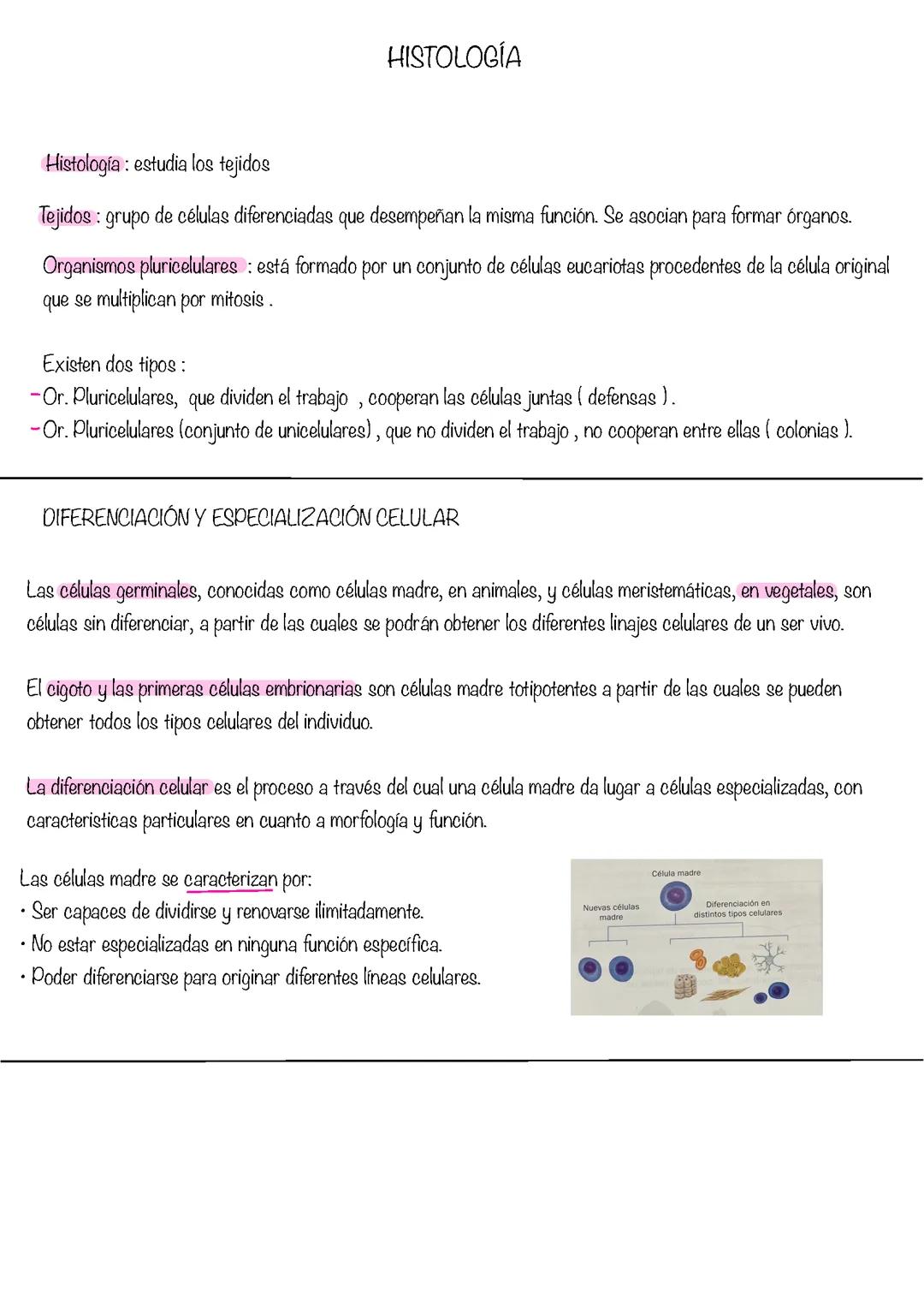 Histologia animal y vegetal