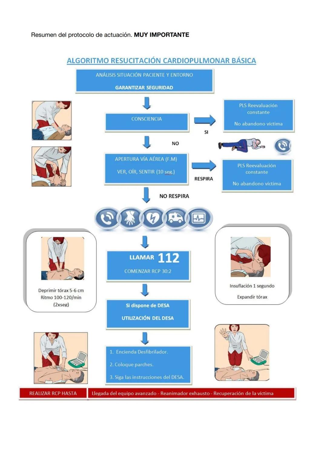 PRIMEROS AUXILIOS
En el siguiente documento vamos a conocer las acciones que tenemos que realizar ante un
accidente o lesión. Un accidente p