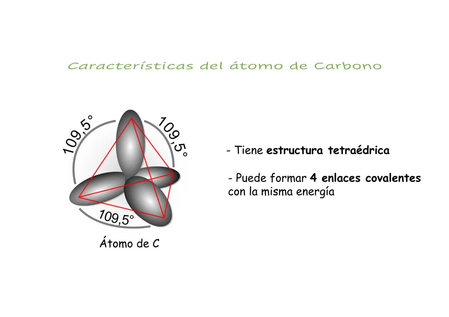 LA QUÍMICA
DEL
CARBONO
NOMENCLATURA I:
HIDROCARBUROS Características del átomo de Carbono
109,5°
109,5°
109,5°
Átomo de C
- Tiene estructura