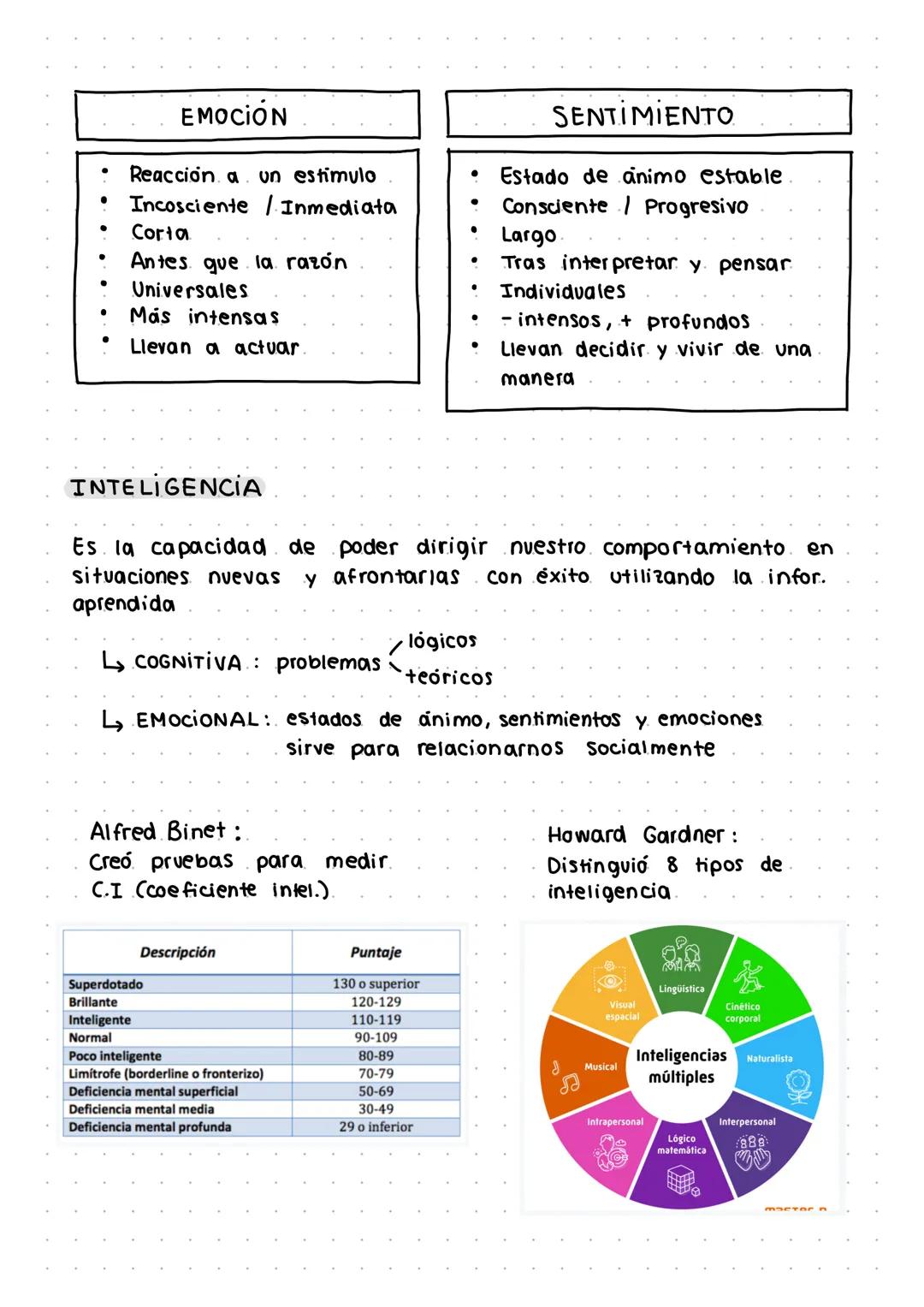 # 1. LA CONCEPCIÓN DEL SER HUMANO
La metafísica estudia "el todo" a diferencia de la antropología que
se centra en el ser humano
material