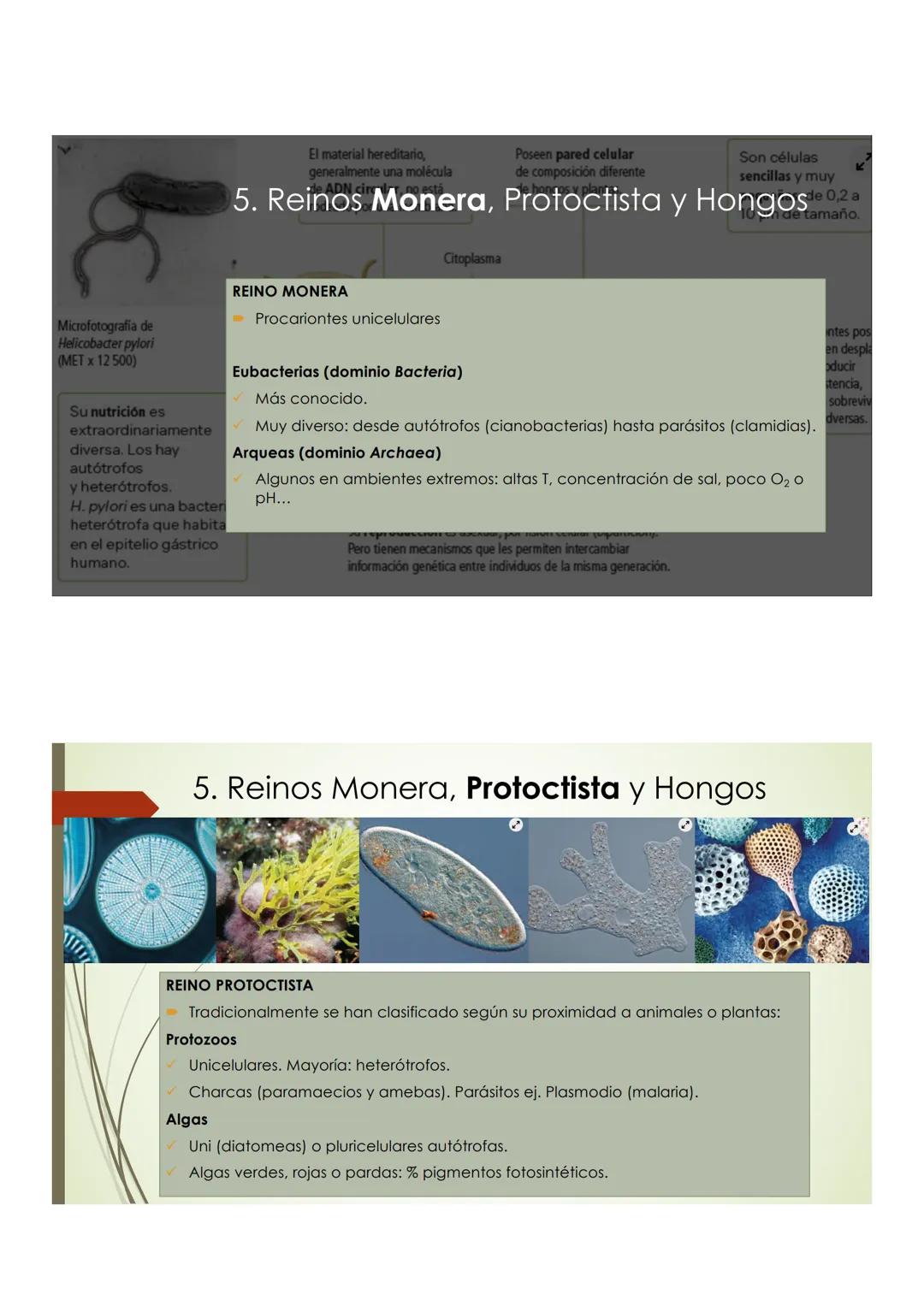 T9 1.3. La diversidad de
los seres vivos
Elefante Mamut, Elefante Dugón Vaca de Manati Daman
africano
Steller,
JTU
De nombres y falsos parie