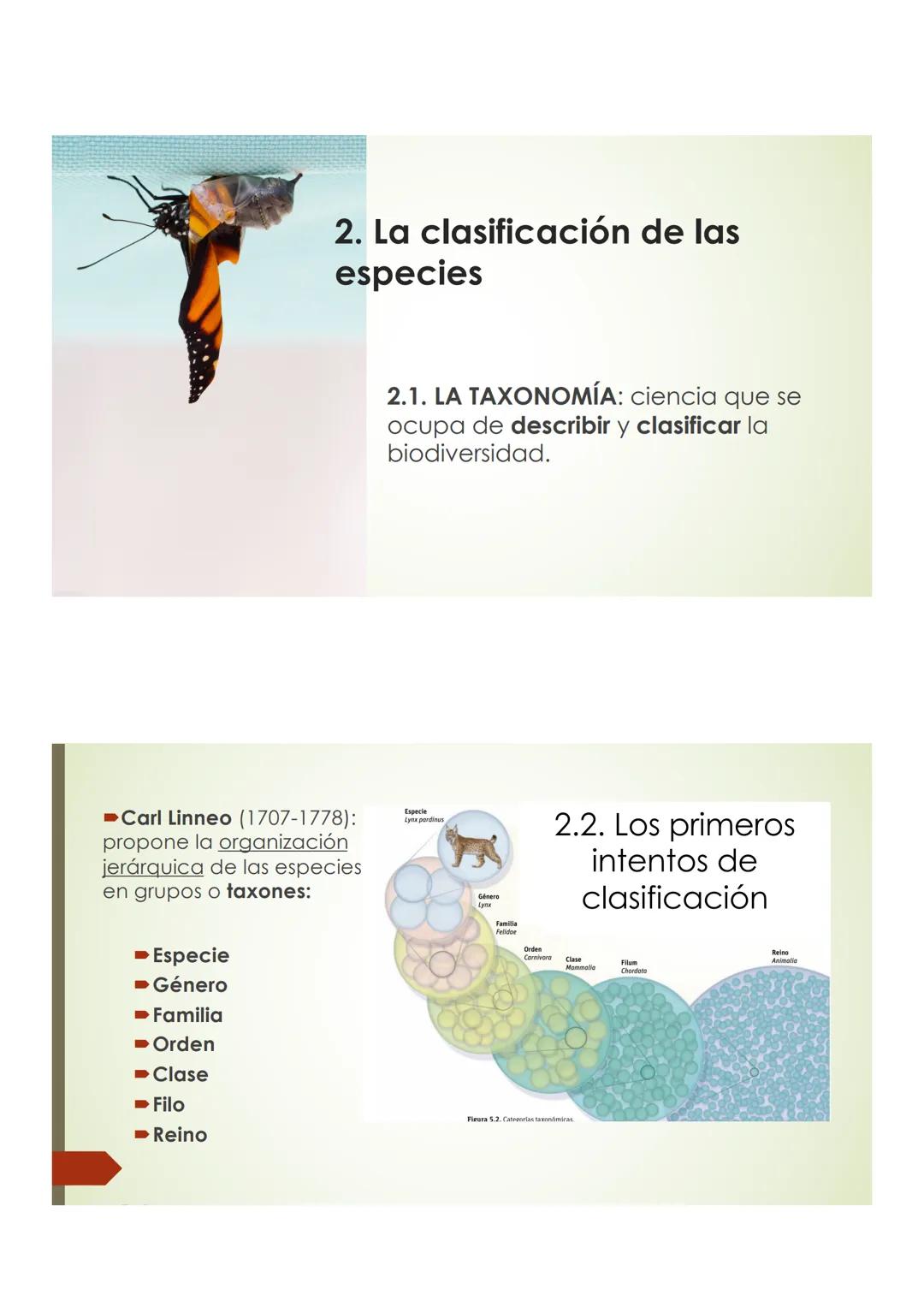 T9 1.3. La diversidad de
los seres vivos
Elefante Mamut, Elefante Dugón Vaca de Manati Daman
africano
Steller,
JTU
De nombres y falsos parie