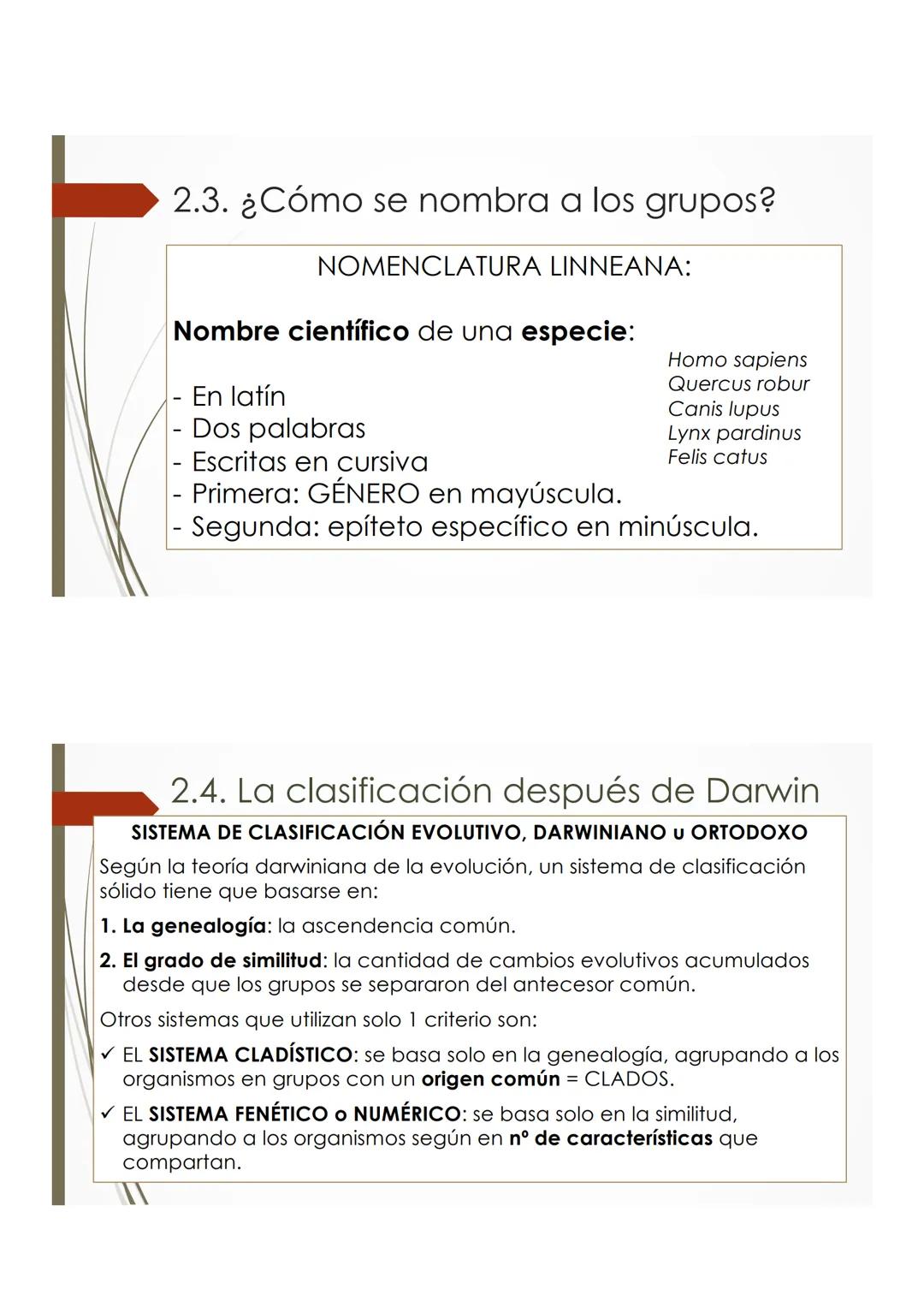 T9 1.3. La diversidad de
los seres vivos
Elefante Mamut, Elefante Dugón Vaca de Manati Daman
africano
Steller,
JTU
De nombres y falsos parie