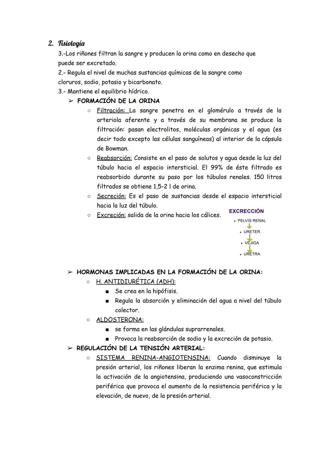 # Aparato urinario the
1. Anatomía
➤ Los riñones (situados detrás del peritoneo ``zona lumbar``, el derecho
más bajo que el izquierdo).
*