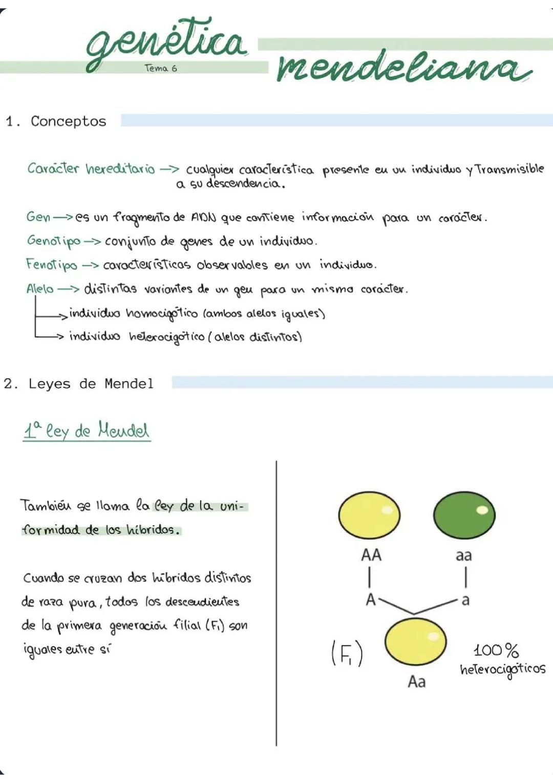 genética mendeliana