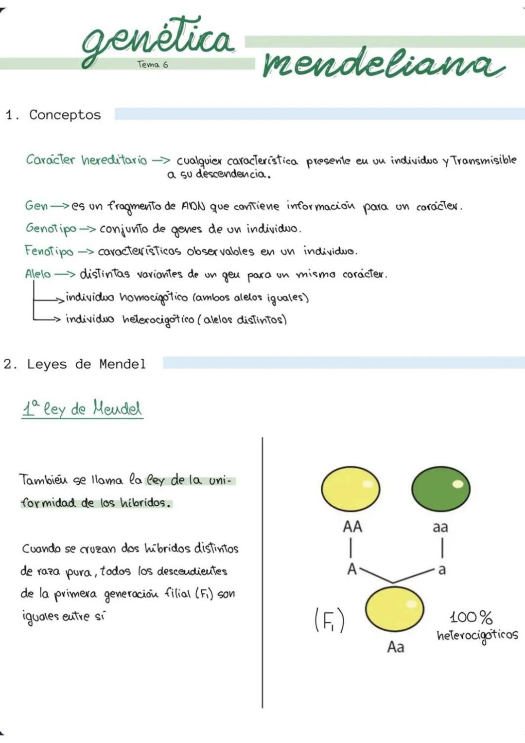 genética
6
mendeliana
1. Conceptos
Caracter hereditario -> cualquier caracteristica presente eu un individuo y Transmisible
a su descendenci