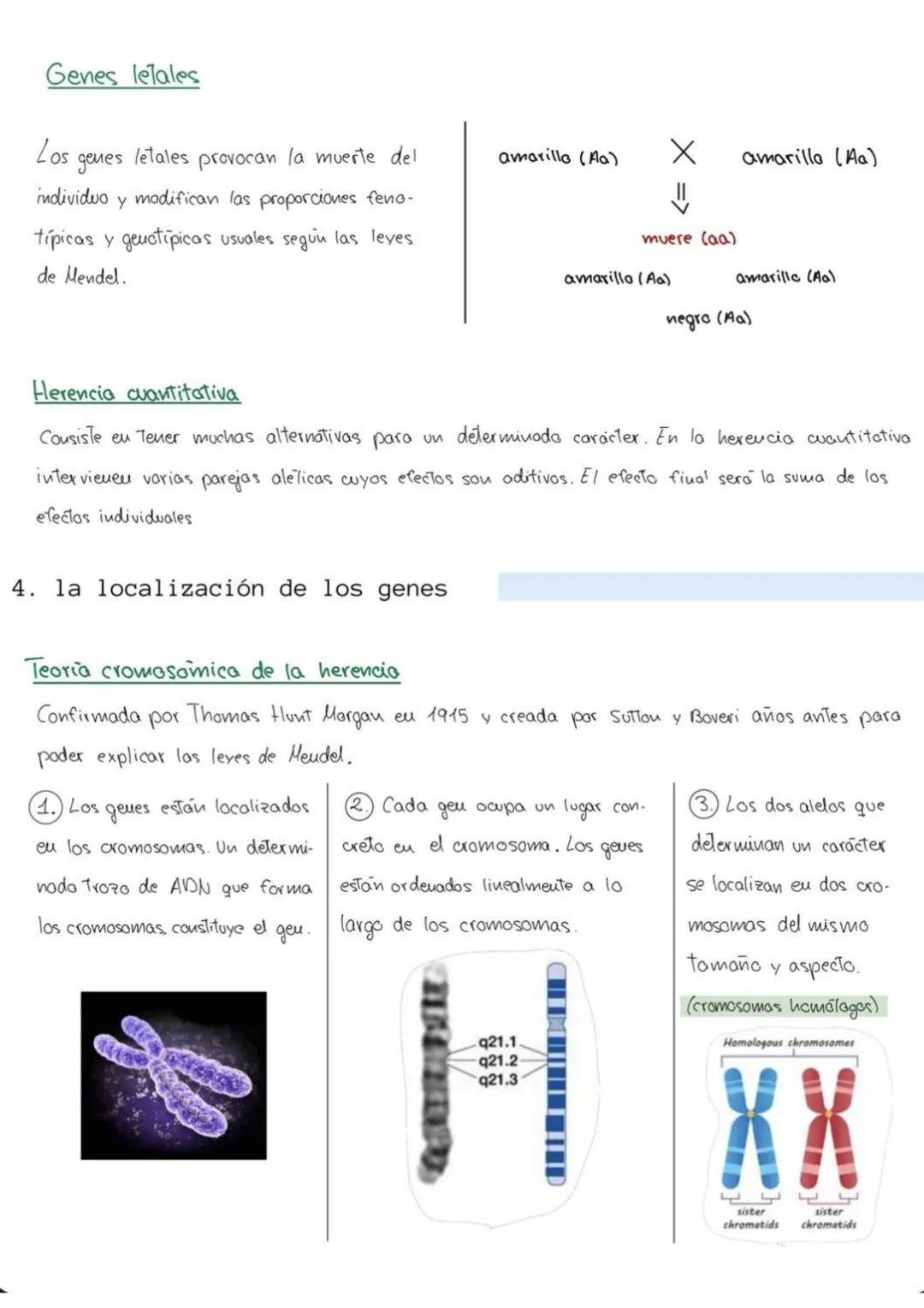 genética
6
mendeliana
1. Conceptos
Caracter hereditario -> cualquier caracteristica presente eu un individuo y Transmisible
a su descendenci