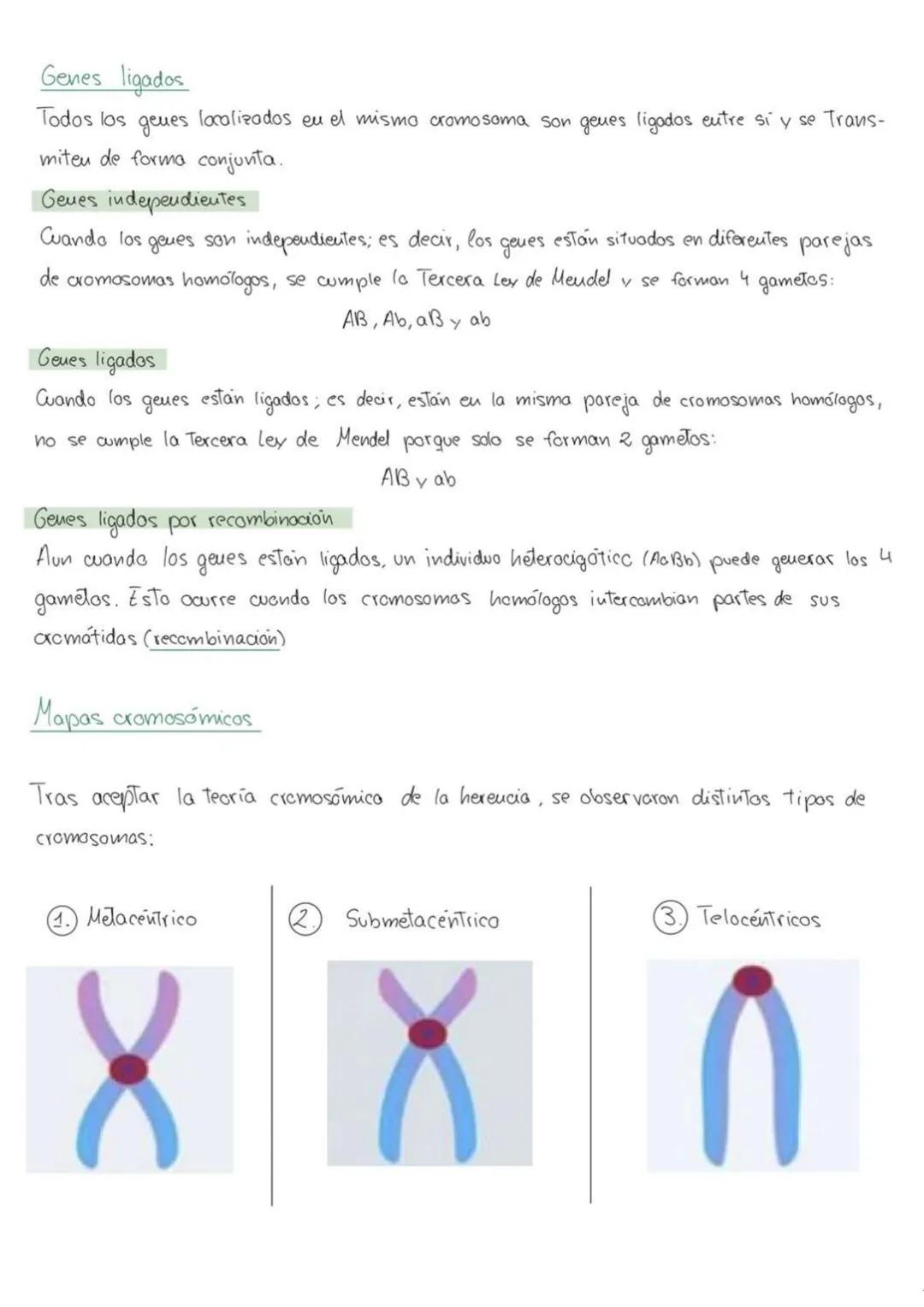 genética
6
mendeliana
1. Conceptos
Caracter hereditario -> cualquier caracteristica presente eu un individuo y Transmisible
a su descendenci