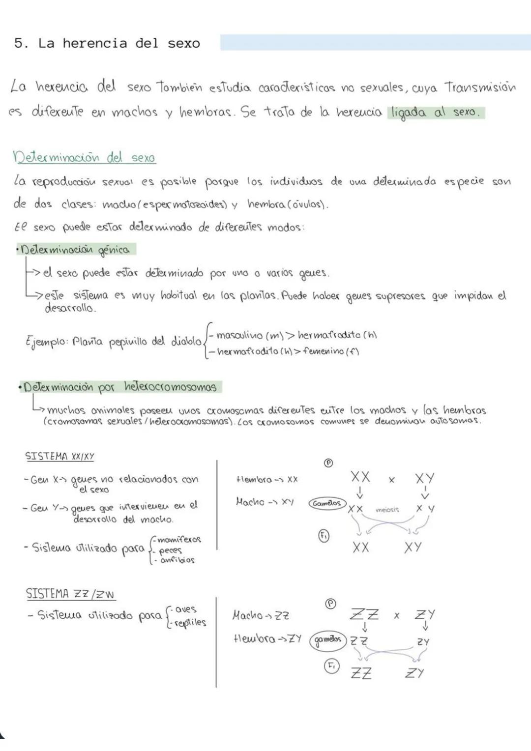 genética
6
mendeliana
1. Conceptos
Caracter hereditario -> cualquier caracteristica presente eu un individuo y Transmisible
a su descendenci