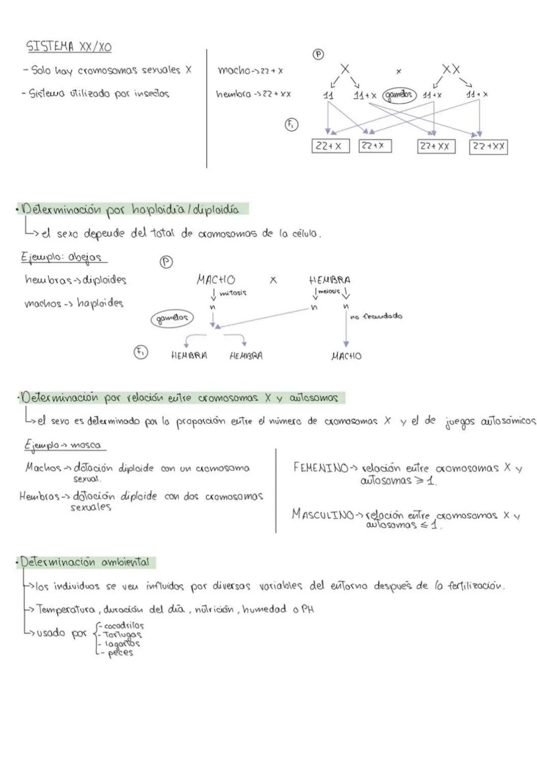 genética
6
mendeliana
1. Conceptos
Caracter hereditario -> cualquier caracteristica presente eu un individuo y Transmisible
a su descendenci
