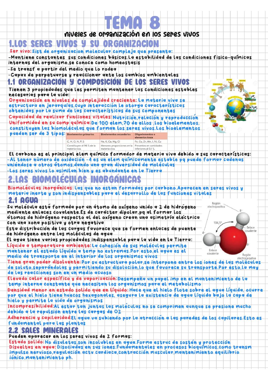 Tema 8.Niveles de organización en los seres vivos