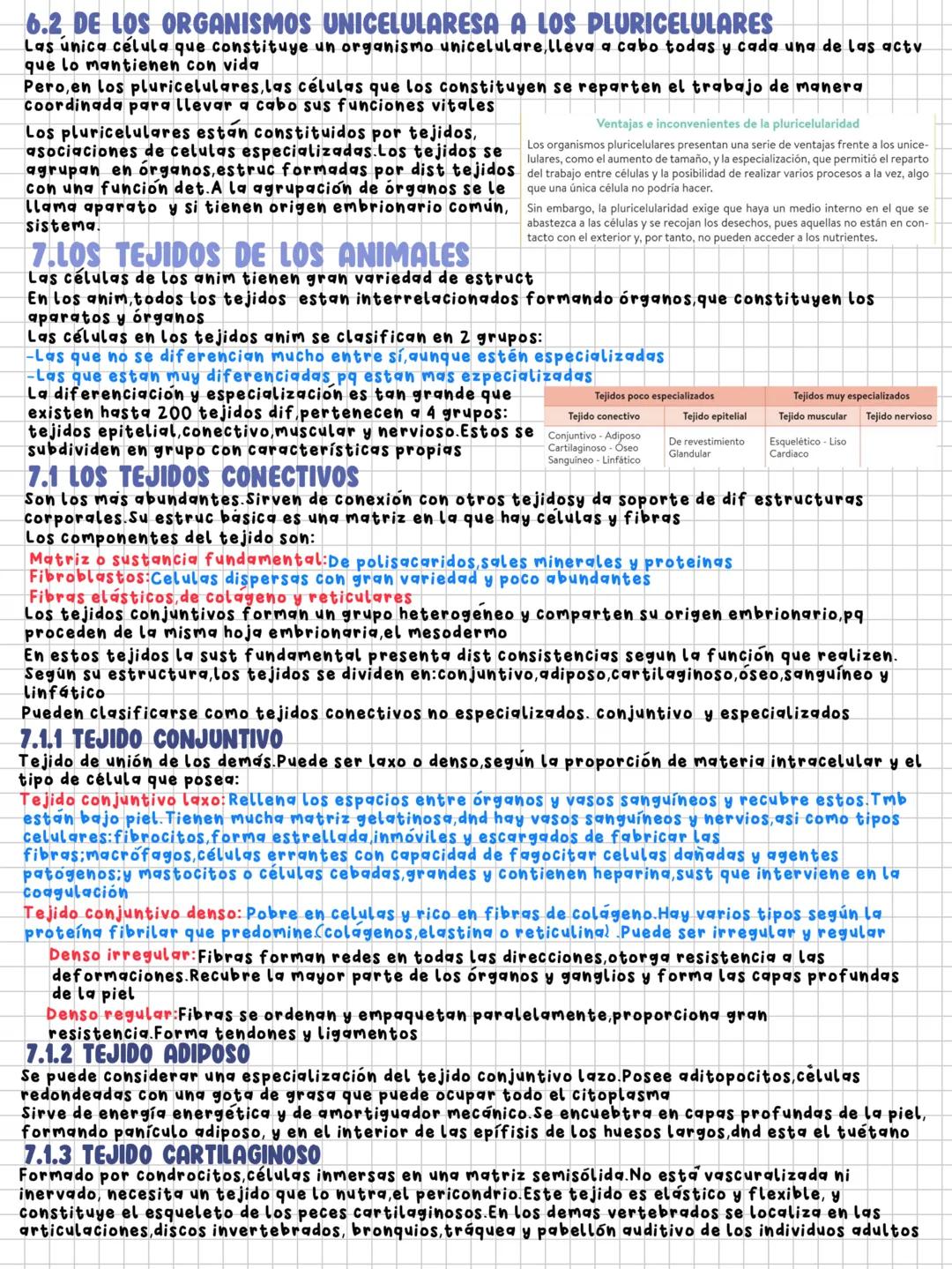 TEMA 8
niveles de organización en los seres vivos
1.LOS SERES VIVOS Y SU ORGANIZACION
Ser vivo: Sist de organizacion molecular compleja que