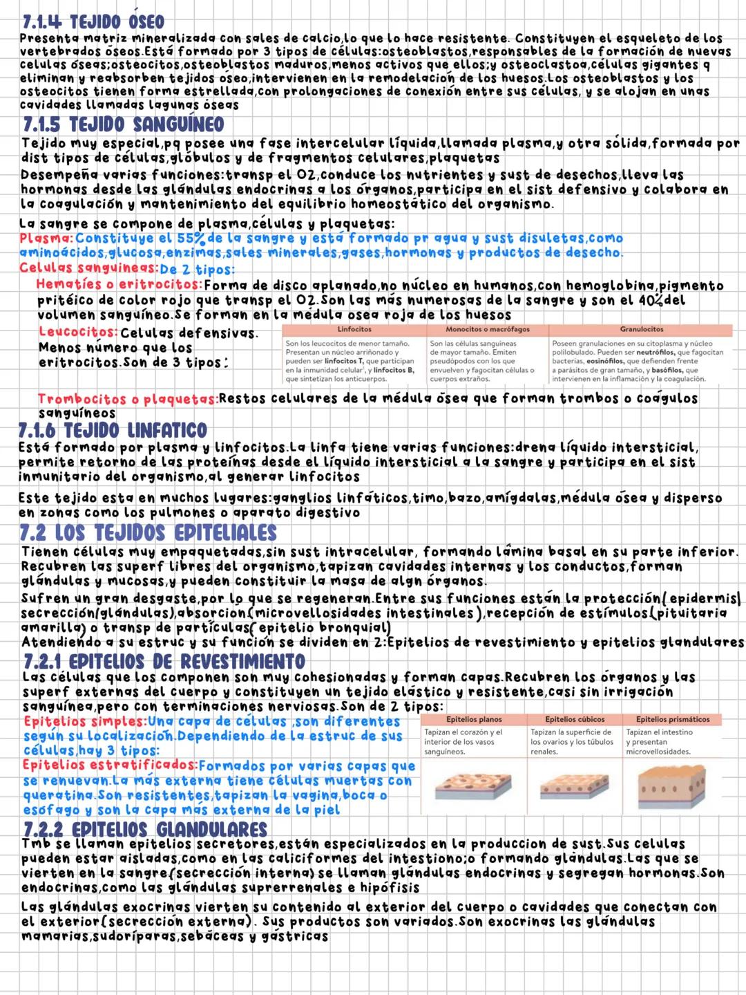 TEMA 8
niveles de organización en los seres vivos
1.LOS SERES VIVOS Y SU ORGANIZACION
Ser vivo: Sist de organizacion molecular compleja que
