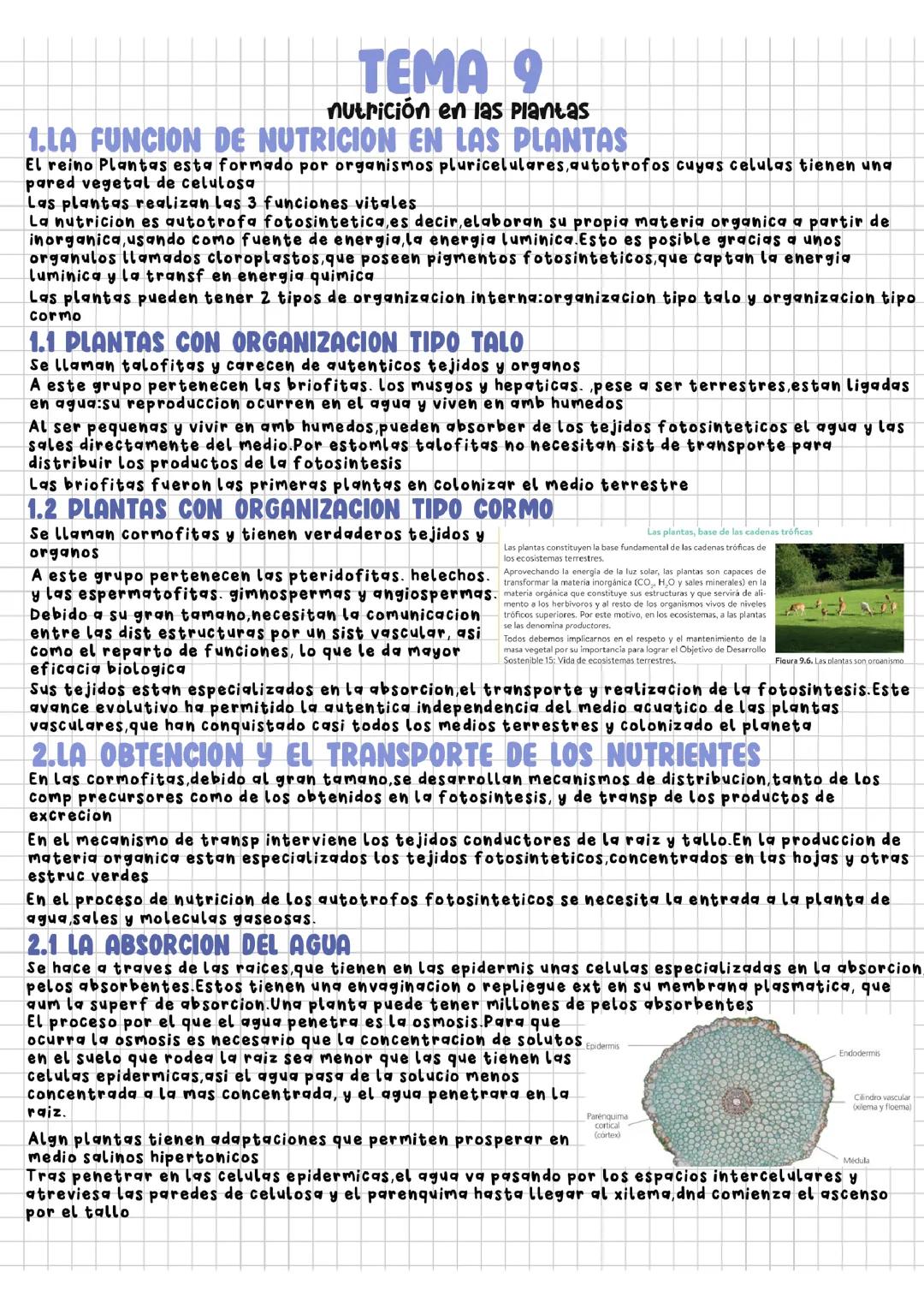 Tema 9.Nutrición en las plantas