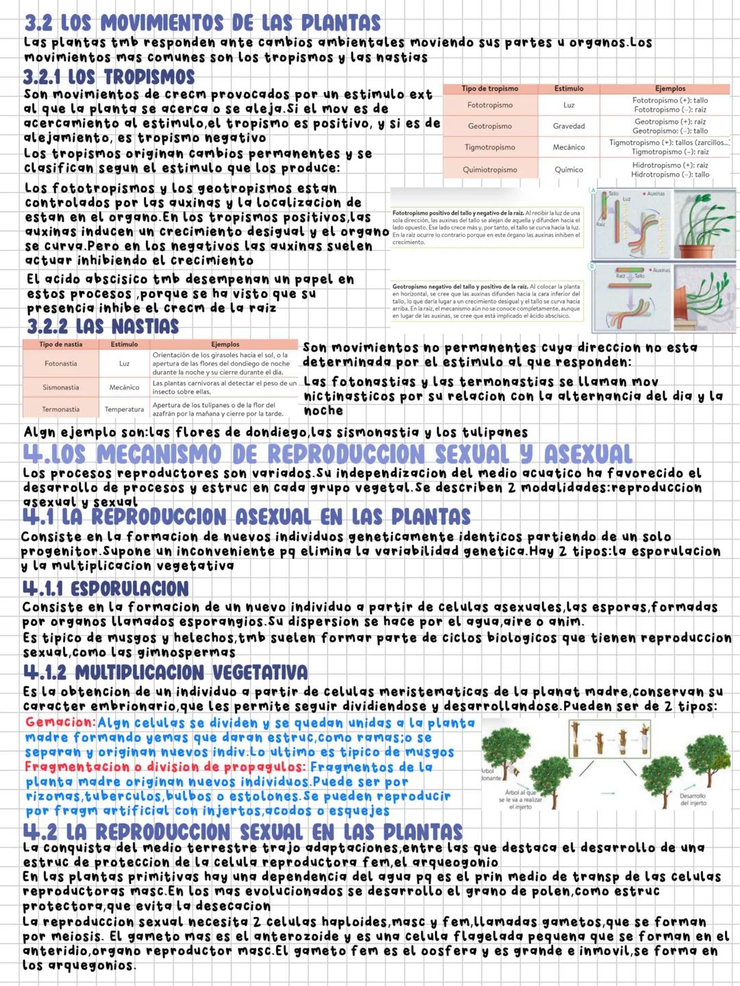 TEMA 10
relación y reproducción en las plantas
1.LA FUNCION DE RELACION EN LAS PLANTAS
La funcion de relacion es el conj de procesos mediant