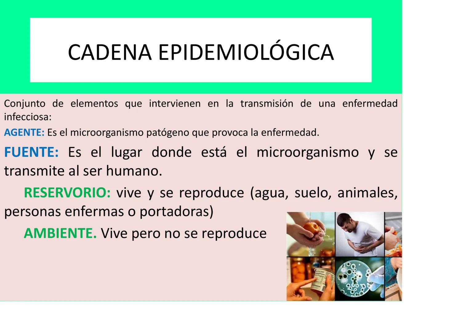 # LA SALUD Y EL SISTEMA
# INMUNITARIO # LA SALUD Y LA ENFERMEDAD
La definición DE SALUD de la OMS (Organización mundial de la Salud):
EST