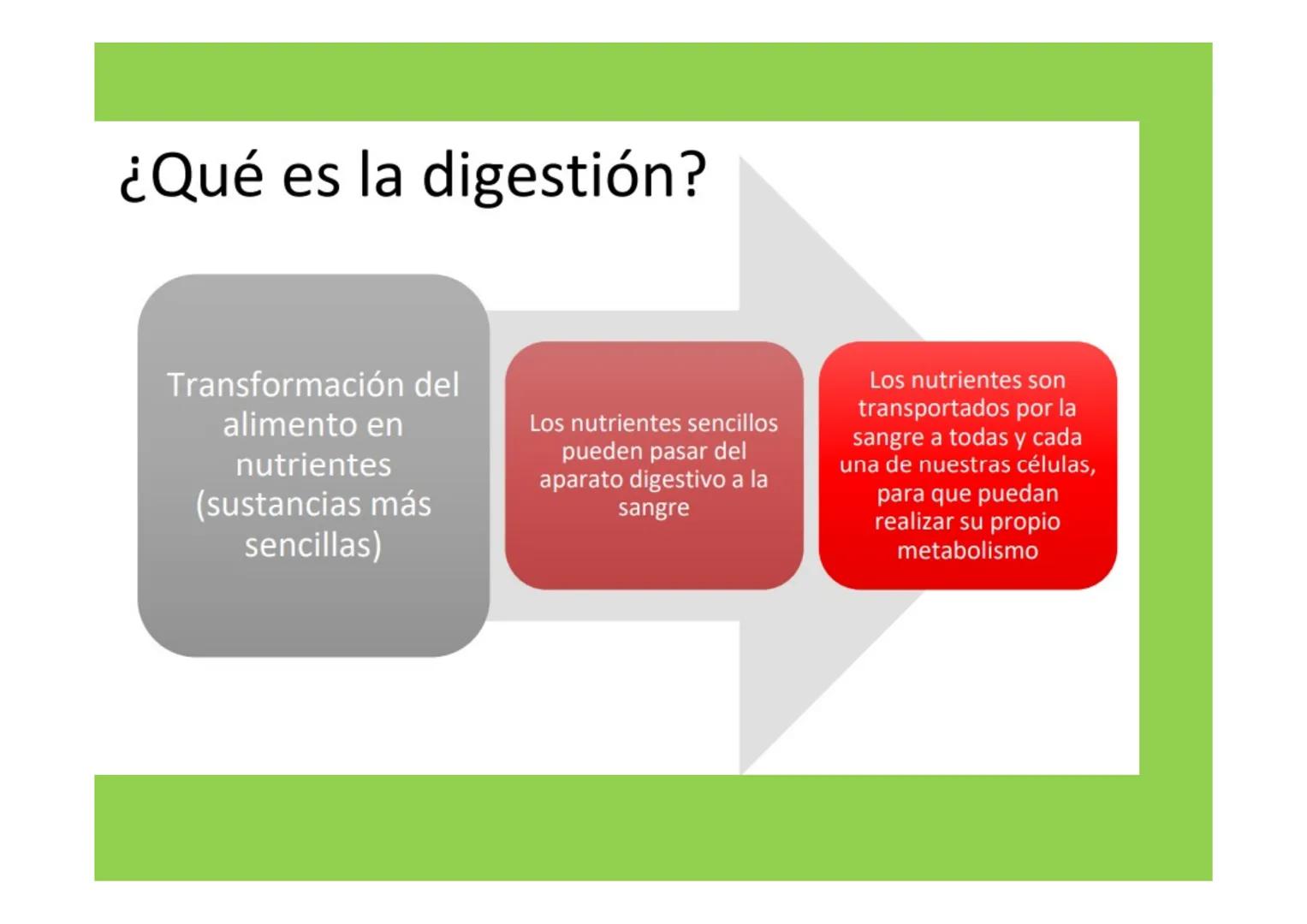 # APARATO DIGESTIVO # LA
NUTRICIÓN
APARATOS
IMPLICADOS EN LA
NUTRICIÓN
La nutrición es el conjunto de procesos a través de los
cuales los