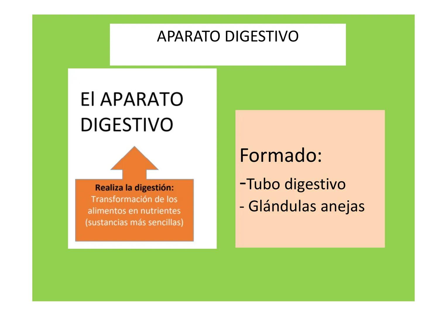 # APARATO DIGESTIVO # LA
NUTRICIÓN
APARATOS
IMPLICADOS EN LA
NUTRICIÓN
La nutrición es el conjunto de procesos a través de los
cuales los