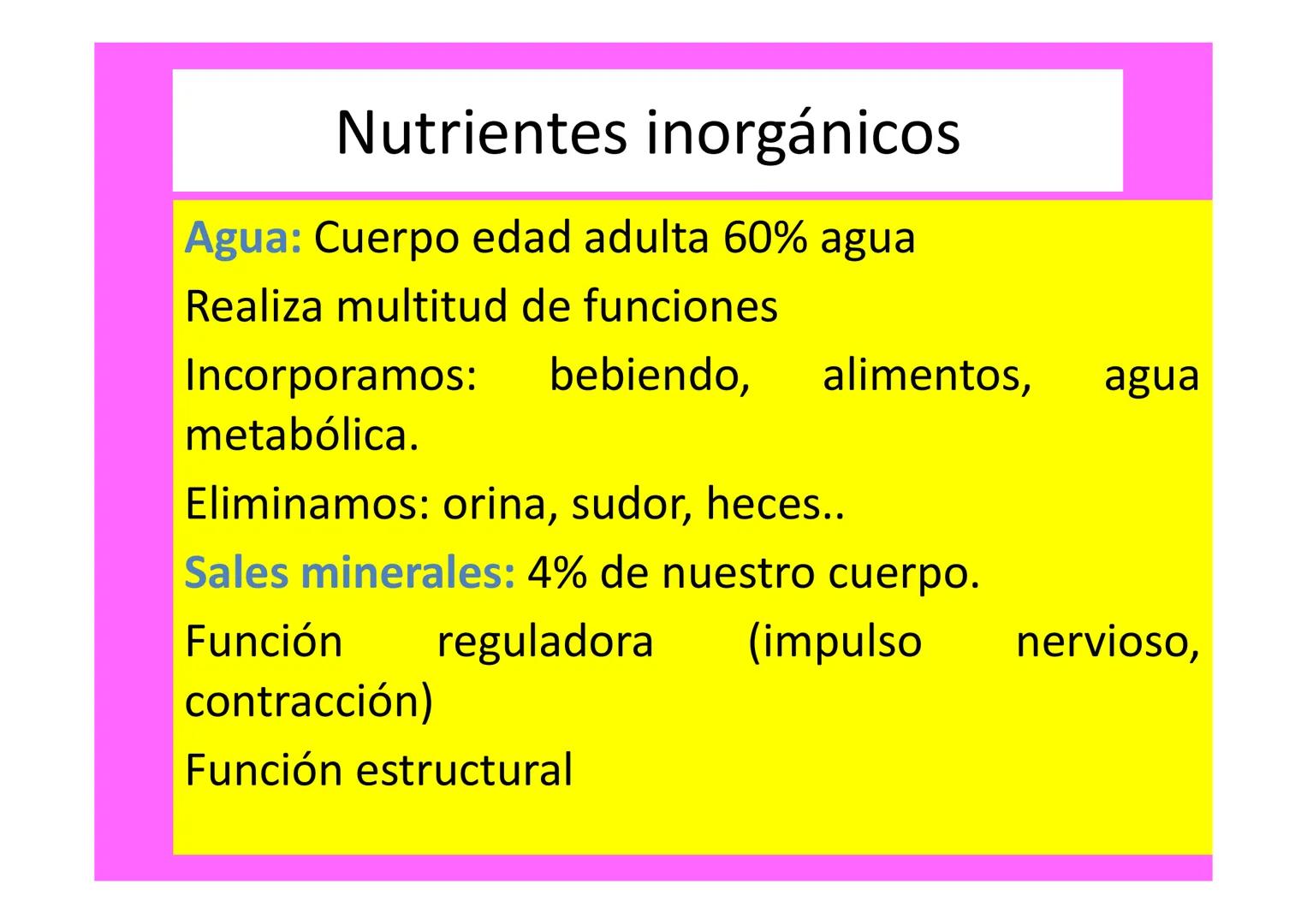 # ALIMENTACIÓN Y SALUD # ALIMENTACIÓN VS NUTRICIÓN
Alimentación vs Nutrición
Alimentación
• Proceso mediante el
cual se toman los
aliment