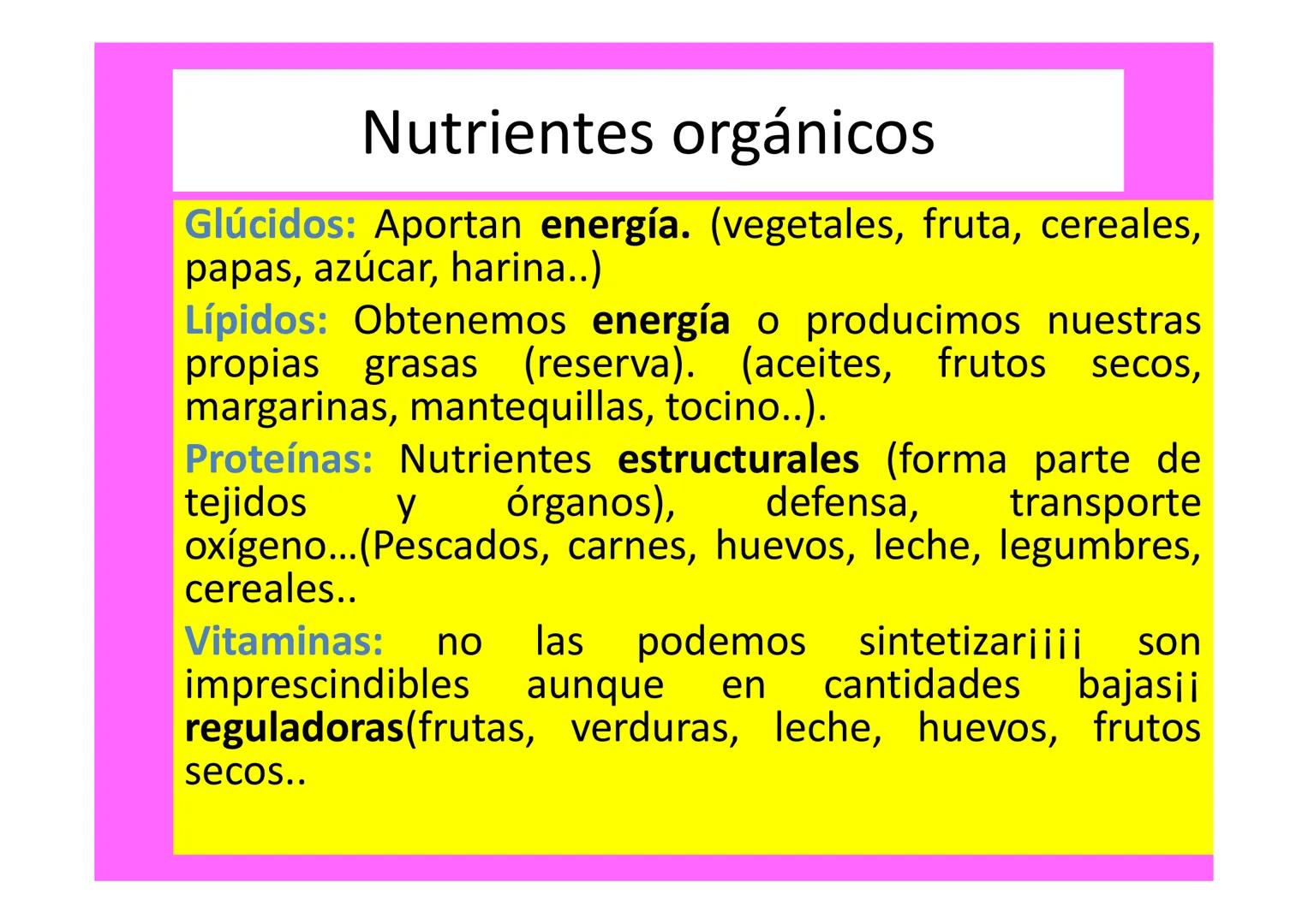 # ALIMENTACIÓN Y SALUD # ALIMENTACIÓN VS NUTRICIÓN
Alimentación vs Nutrición
Alimentación
• Proceso mediante el
cual se toman los
aliment