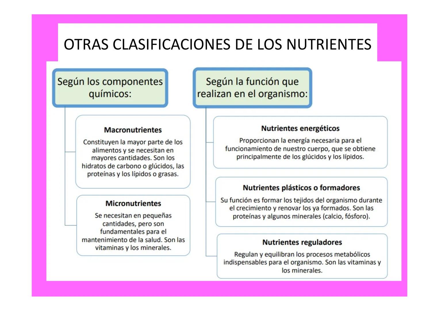 # ALIMENTACIÓN Y SALUD # ALIMENTACIÓN VS NUTRICIÓN
Alimentación vs Nutrición
Alimentación
• Proceso mediante el
cual se toman los
aliment
