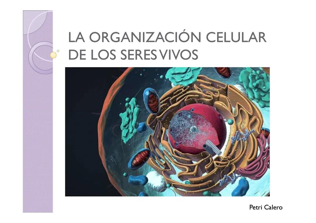 Estructura Celular de los Seres Vivos