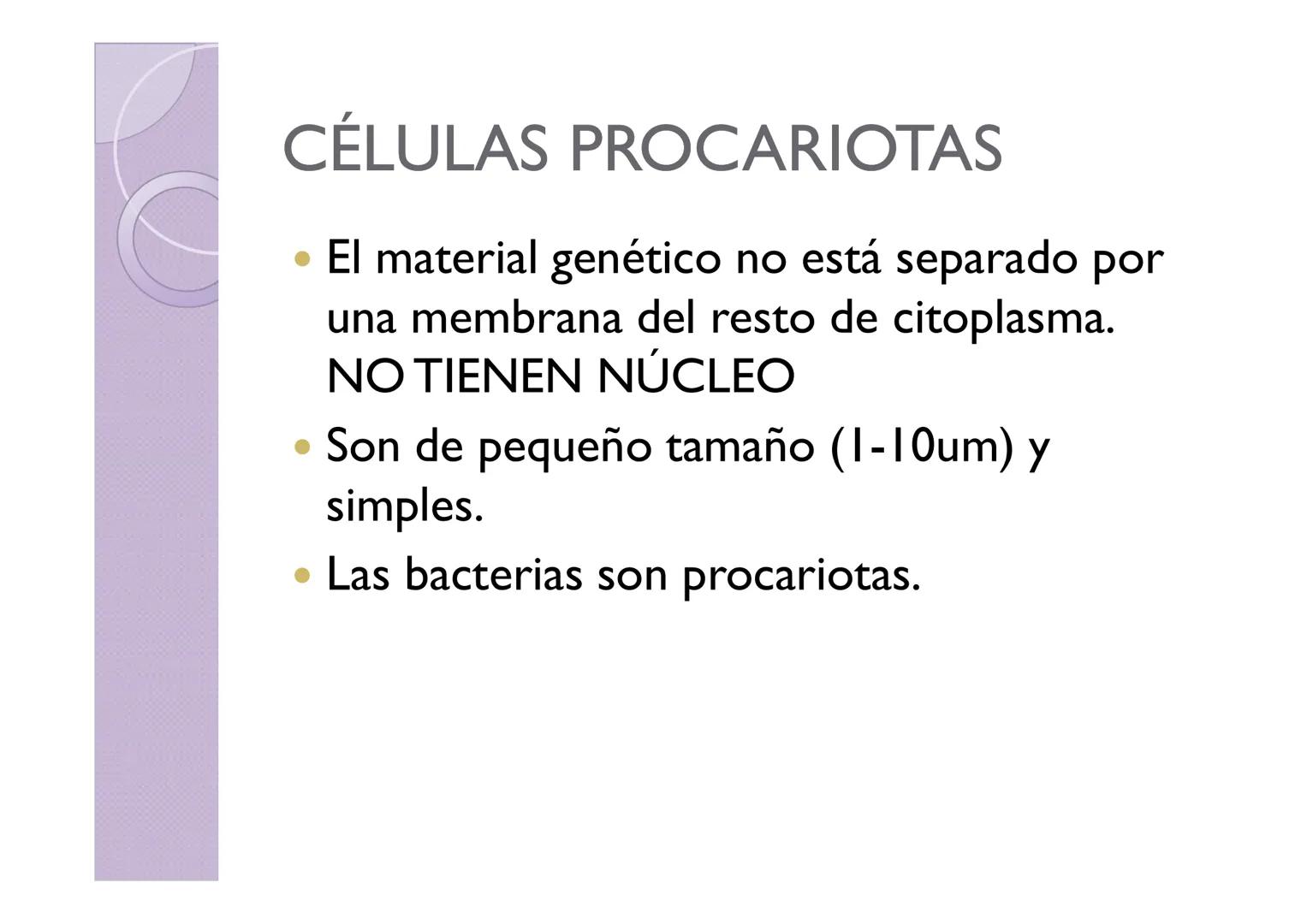 LA ORGANIZACIÓN CELULAR
DE LOS SERES VIVOS
Petri Calero LA TEORÍA CELULAR
HISTORIA
1665
1674
1831
1838-1839
1865
Hooke
Leeuwenhoek
Brown
Pur