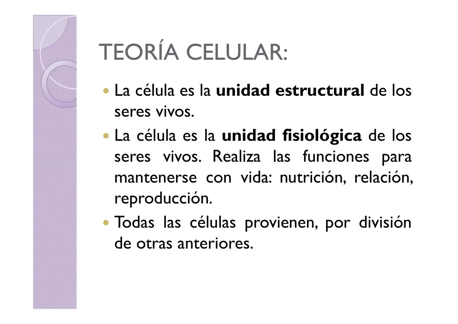 LA ORGANIZACIÓN CELULAR
DE LOS SERES VIVOS
Petri Calero LA TEORÍA CELULAR
HISTORIA
1665
1674
1831
1838-1839
1865
Hooke
Leeuwenhoek
Brown
Pur