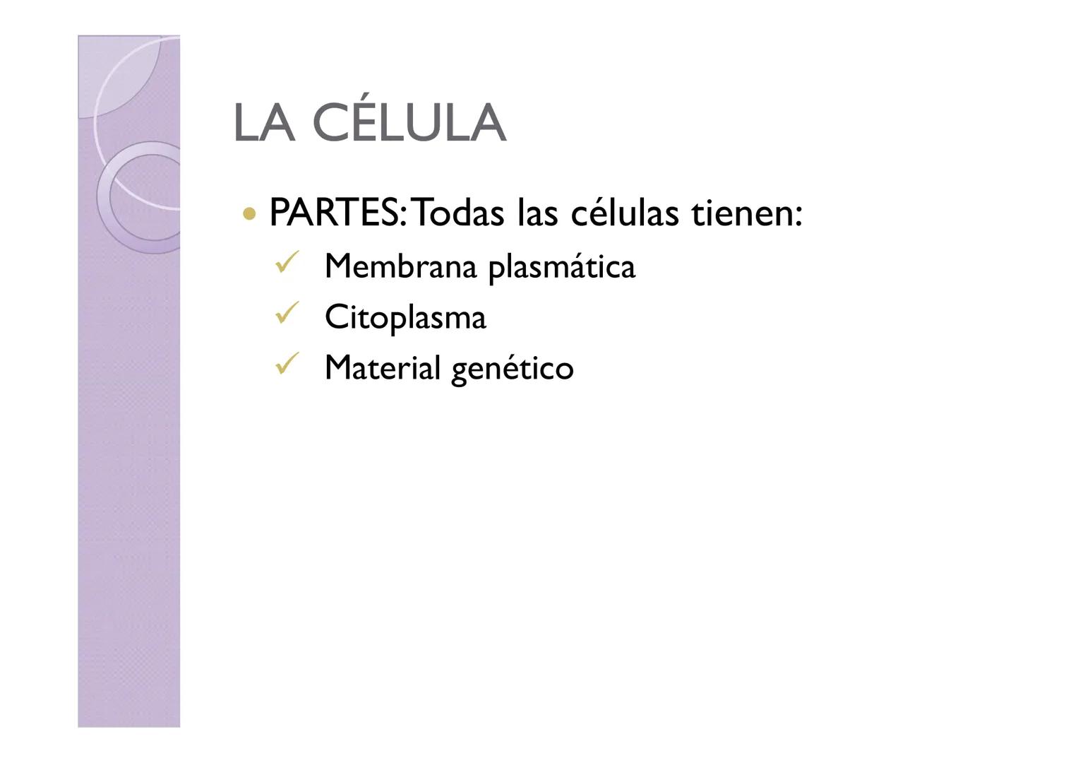 LA ORGANIZACIÓN CELULAR
DE LOS SERES VIVOS
Petri Calero LA TEORÍA CELULAR
HISTORIA
1665
1674
1831
1838-1839
1865
Hooke
Leeuwenhoek
Brown
Pur