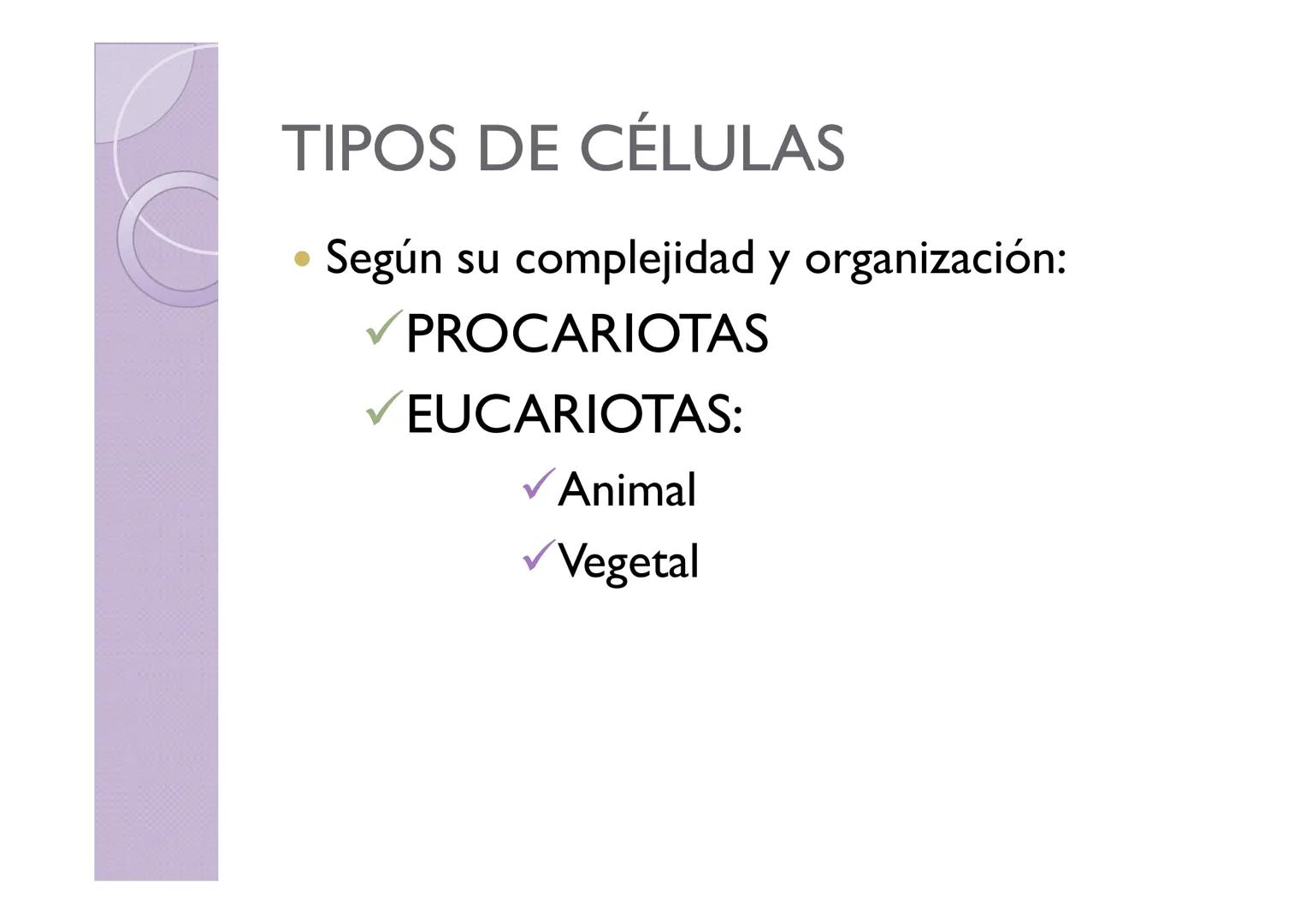 LA ORGANIZACIÓN CELULAR
DE LOS SERES VIVOS
Petri Calero LA TEORÍA CELULAR
HISTORIA
1665
1674
1831
1838-1839
1865
Hooke
Leeuwenhoek
Brown
Pur