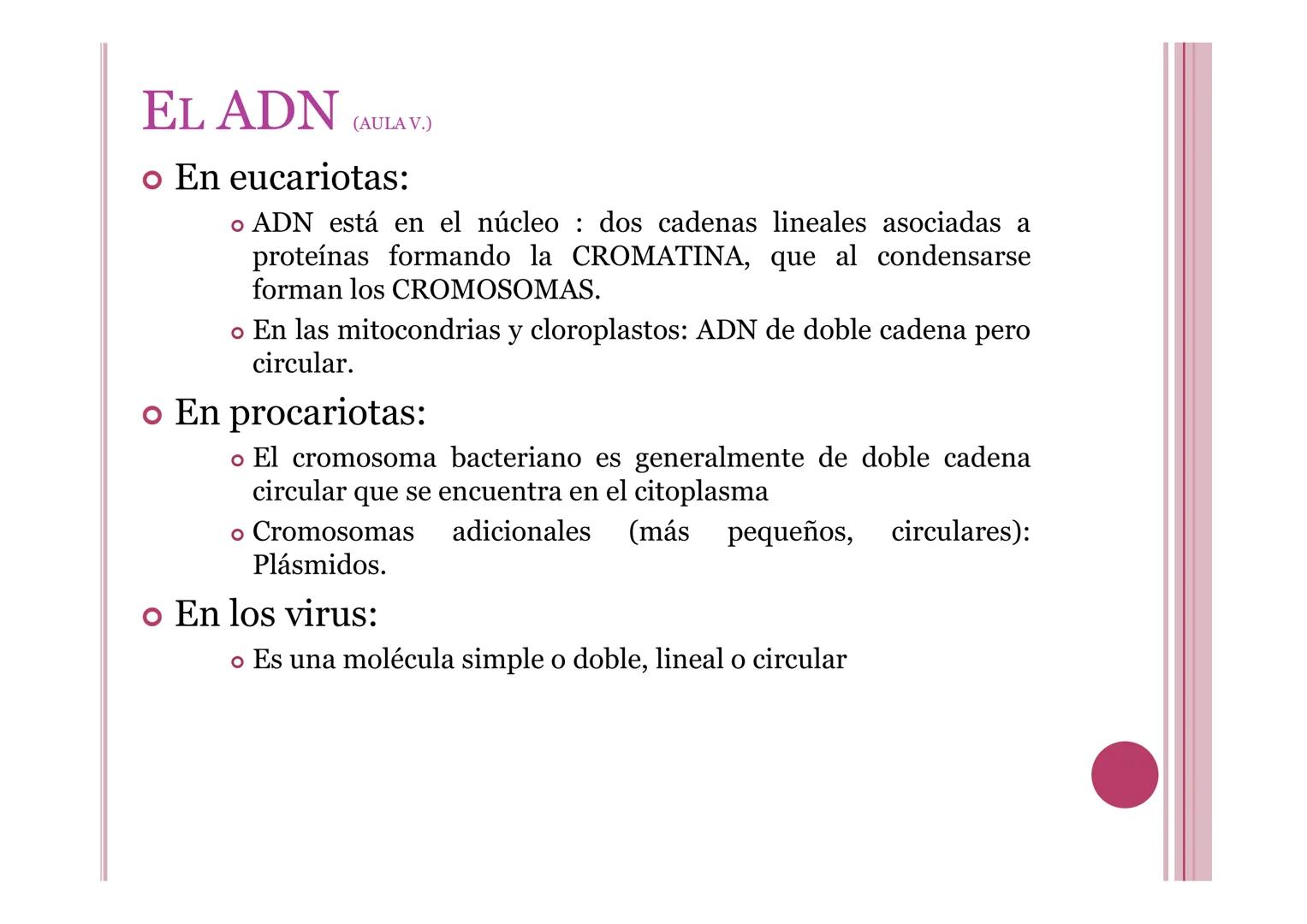 # LA INFORMACIÓN Y
# MANIPULACIÓN GENÉTICA
Petri Calero 4º ESO # EL ADN Y LOS ÁCIDOS NUCLEICOS
• El ADN o ácido desoxirribonucleico: molé